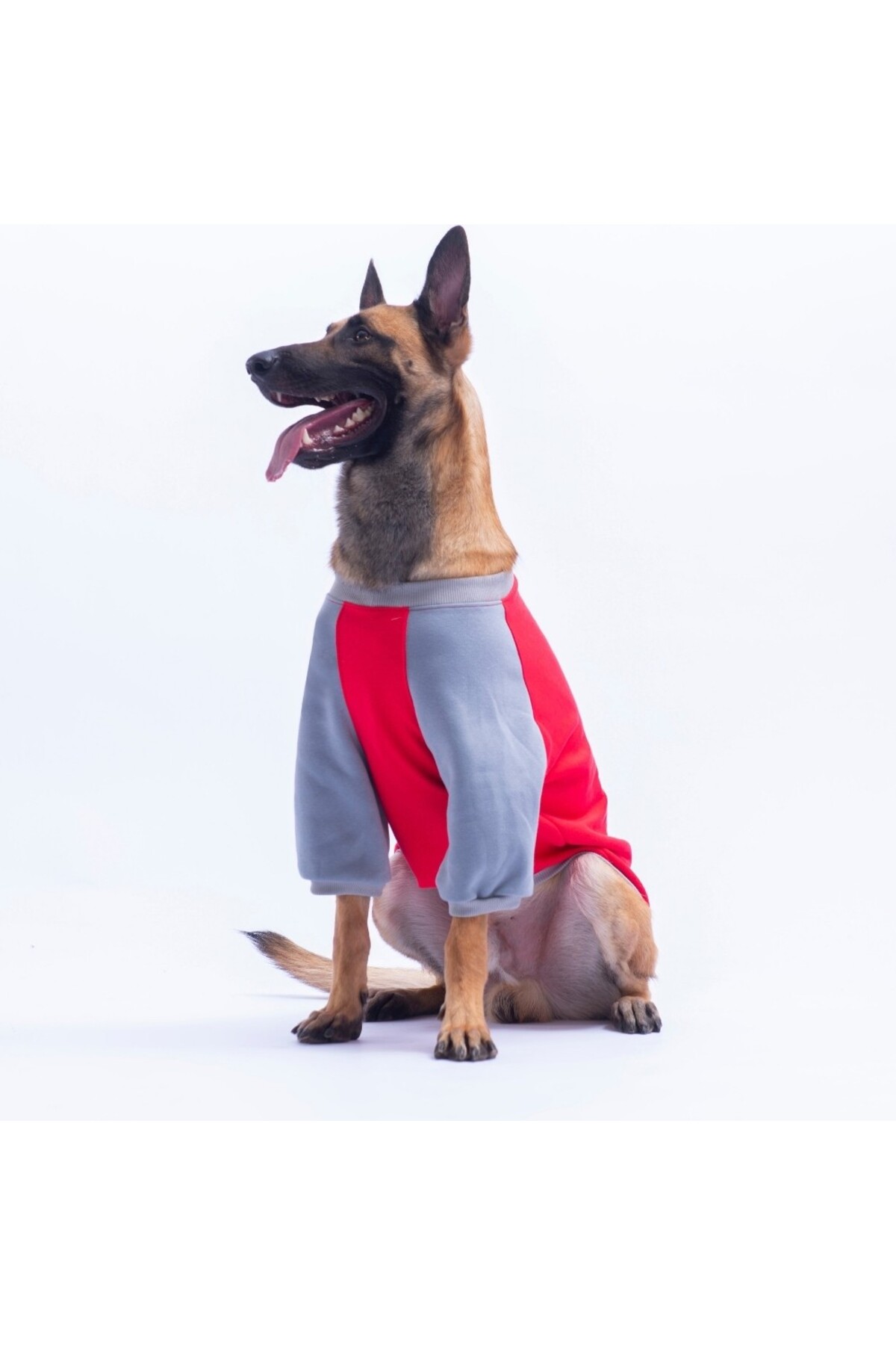 سویشرت سگ پاواستار Pawstar مدل Boston، قرمز، مناسب نژادهای متوسط تا بزرگ