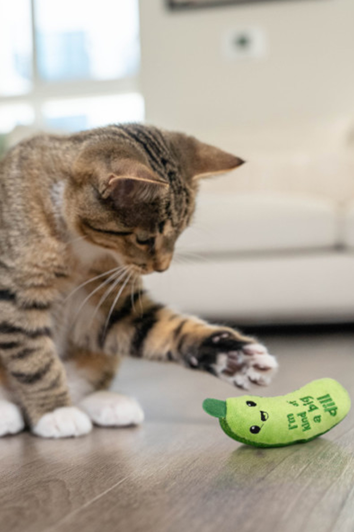 اسباب‌بازی گربه کت‌نیپی Catstages Crunchy Pickle مدل 350-70379M از اوت‌وارد هاوند Outward Hound چندرنگ