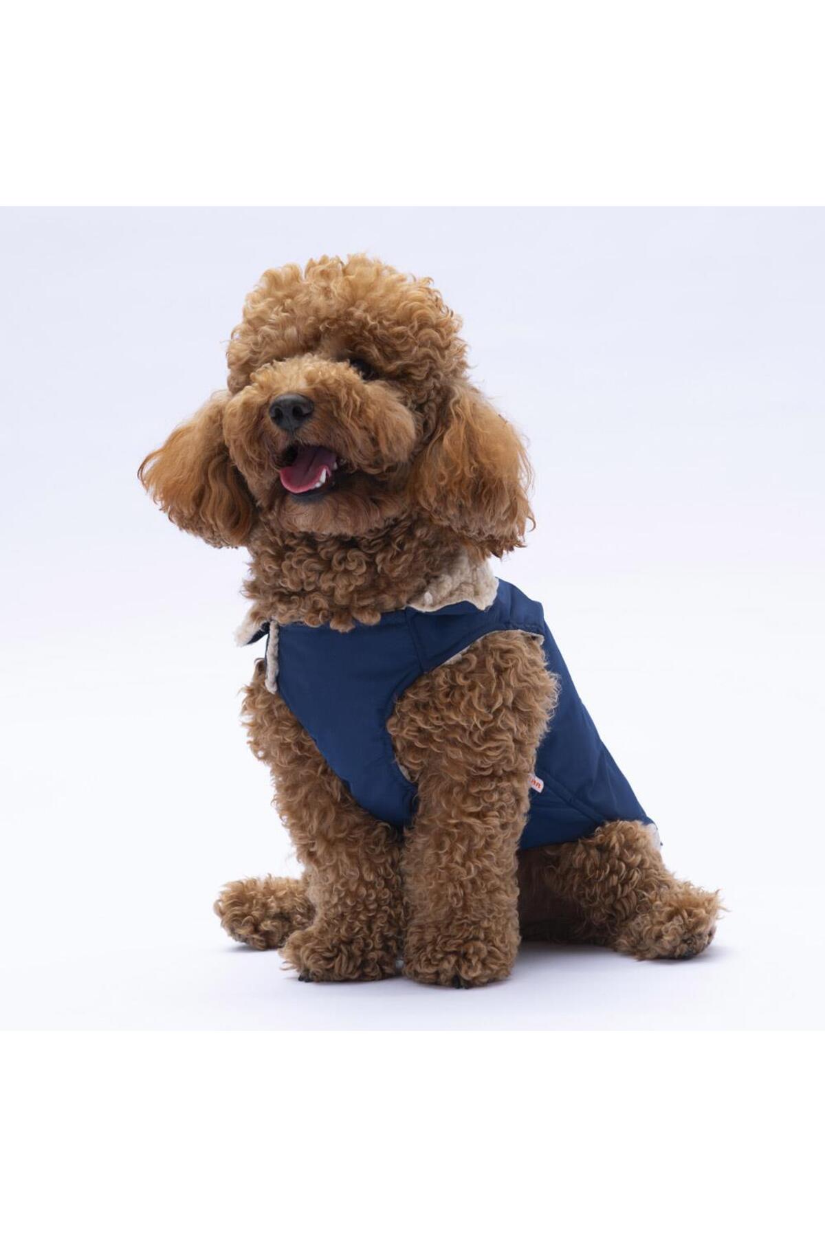 جلیقه سگ پاوستار Pawstar Yukon سرمه‌ای مدل PS24-1037