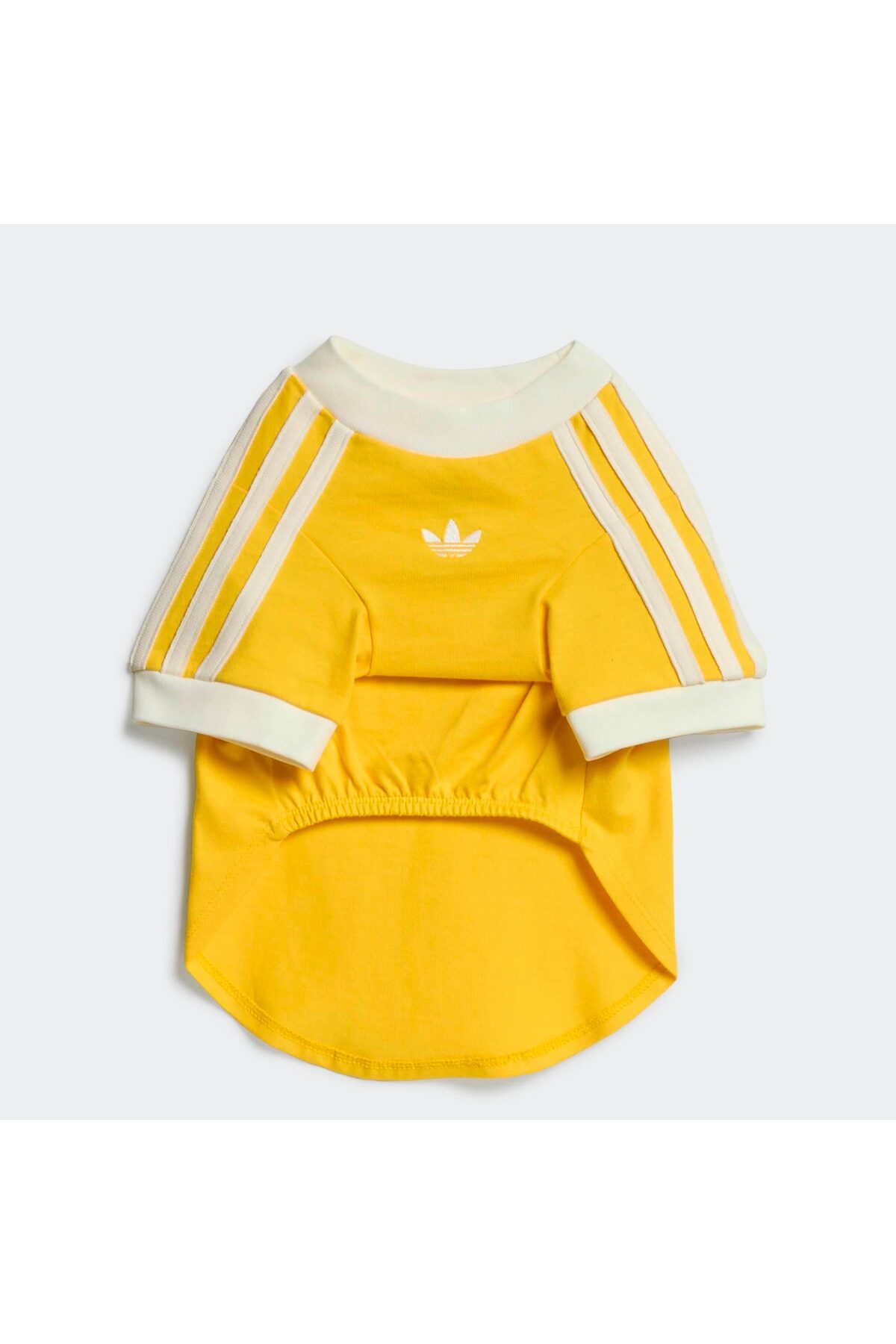 تی‌شرت سگ Cali زرد آدیداس adidas Originals، کد KY8731
