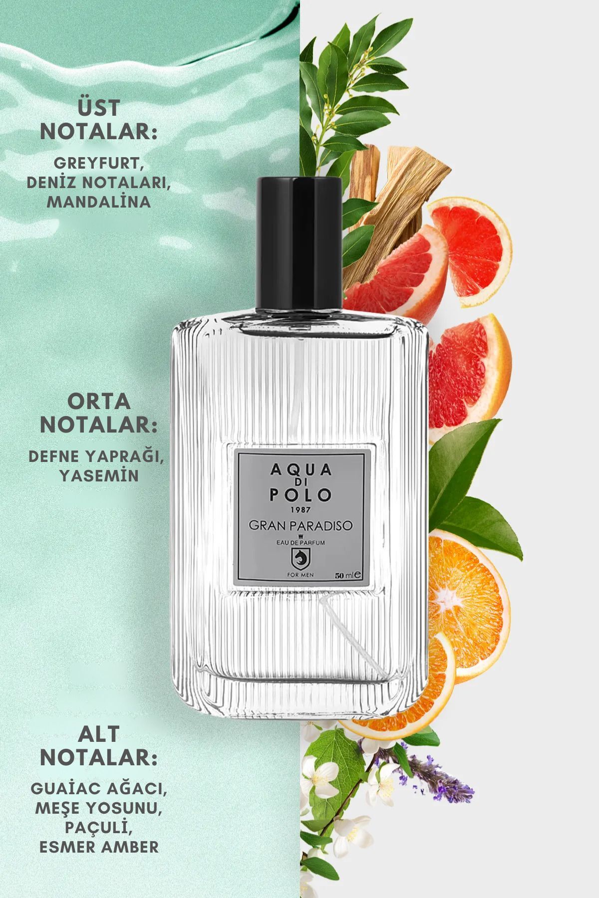 Aqua Di Polo 1987 عطر مردانه 50 میلی‌لیتری گران پارادیزو