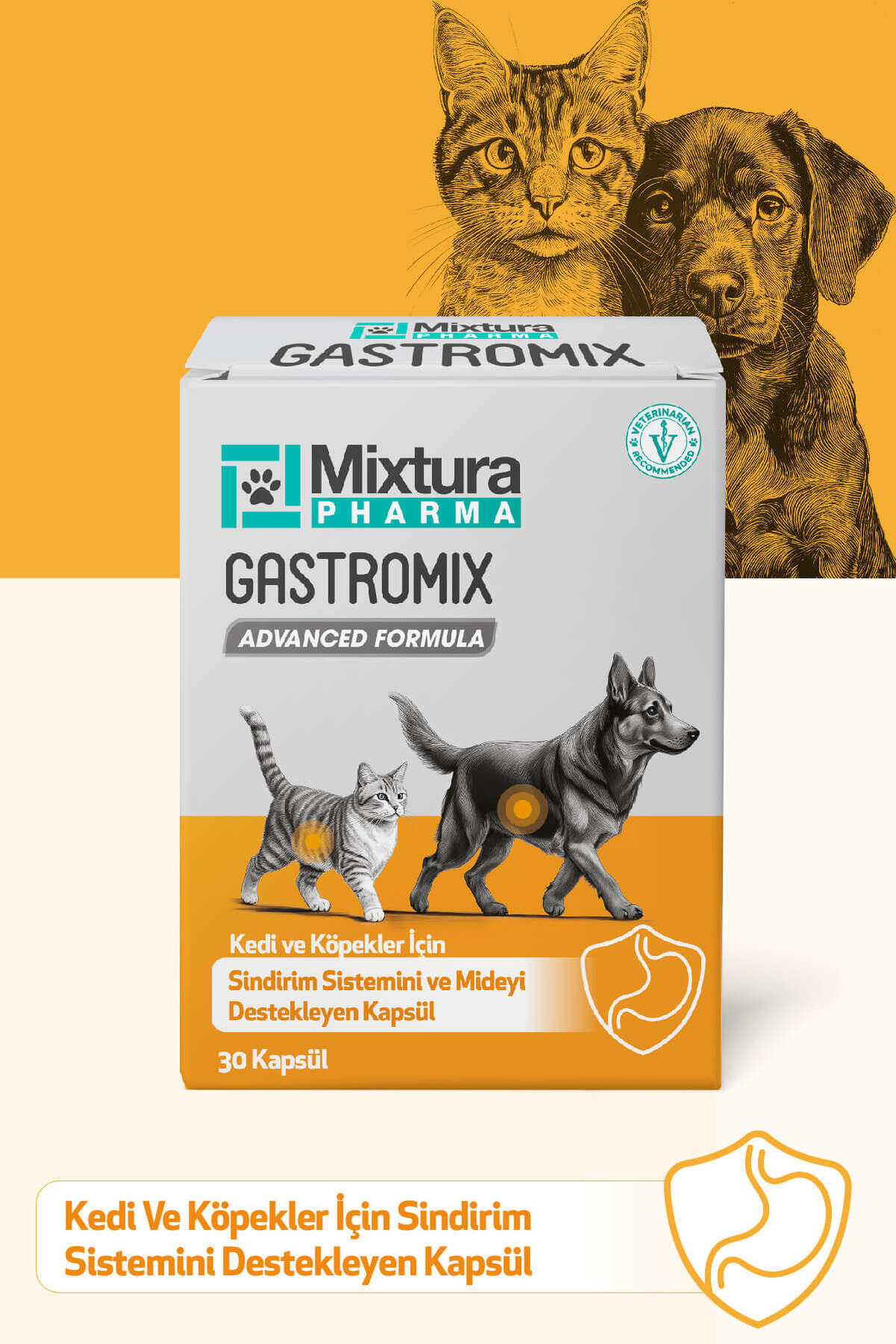 قرص گاسترومیکس برای گربه و سگ، پشتیبان معده و دستگاه گوارش، میکسچورا فارما Mixtura Pharma مدل MT5000