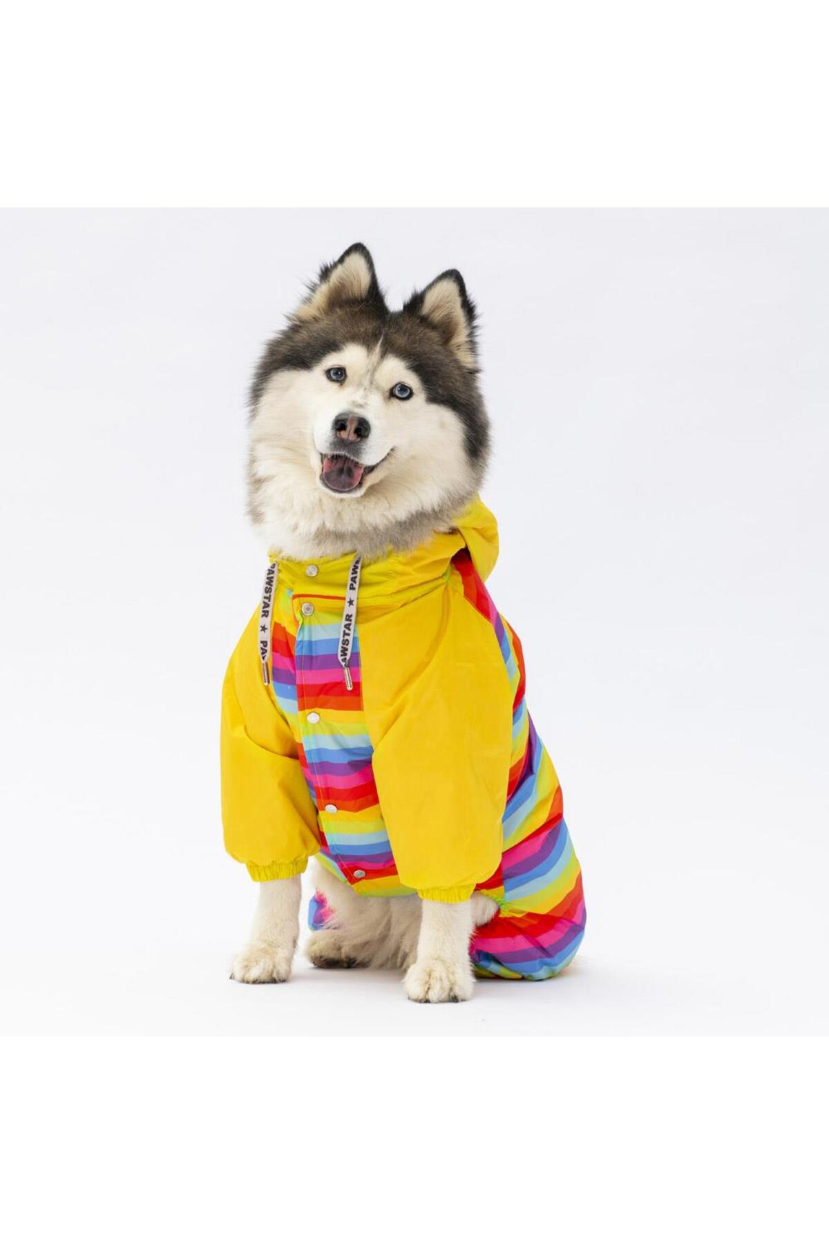 سرهمی بارانی سگ نژاد بزرگ پاوستار Pawstar Peru مدل BPS24-1036 زرد