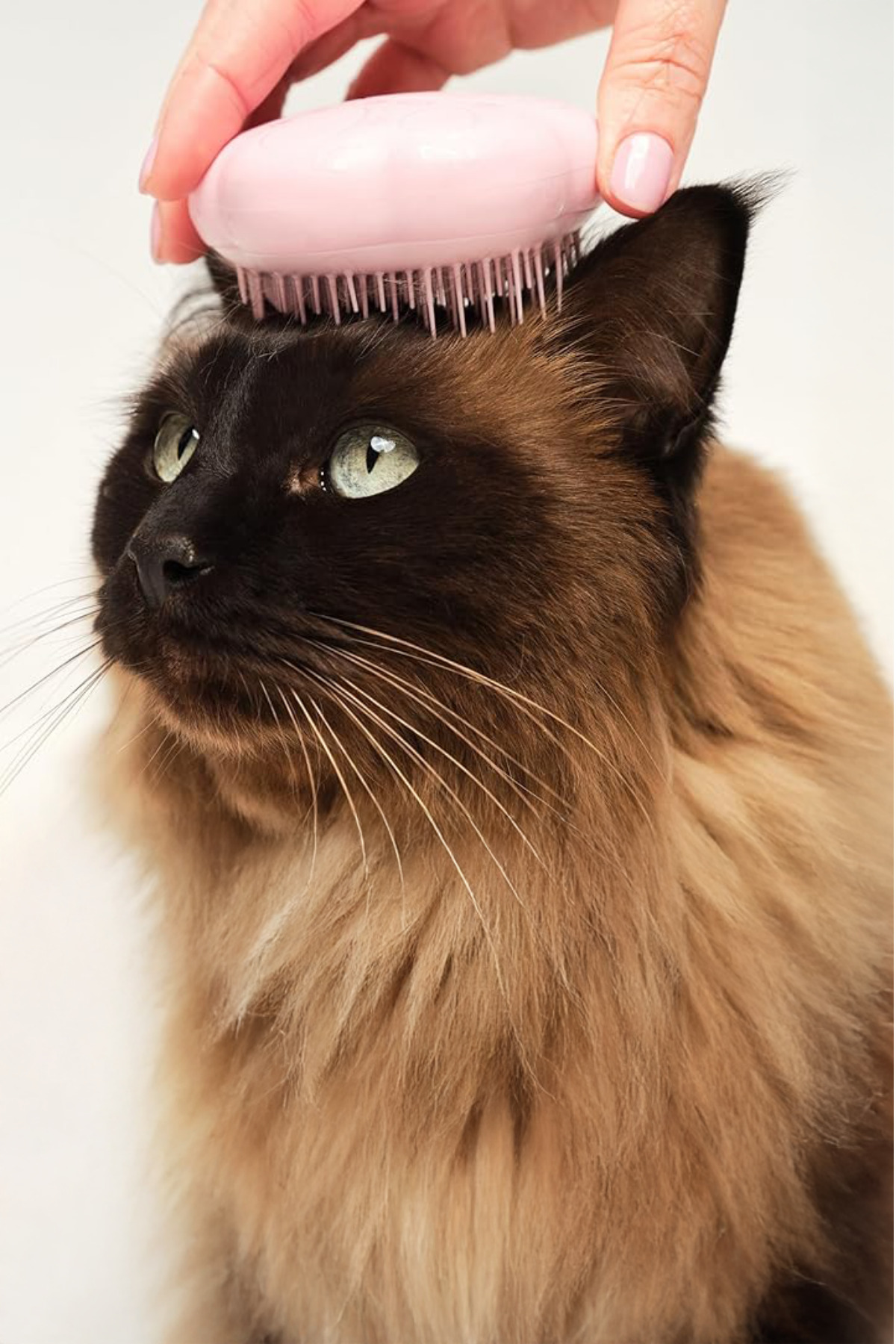 برس جمع‌کننده موی گربه تنگل تیزر Tangle Teezer Pet Teezer، صورتی میلنیال