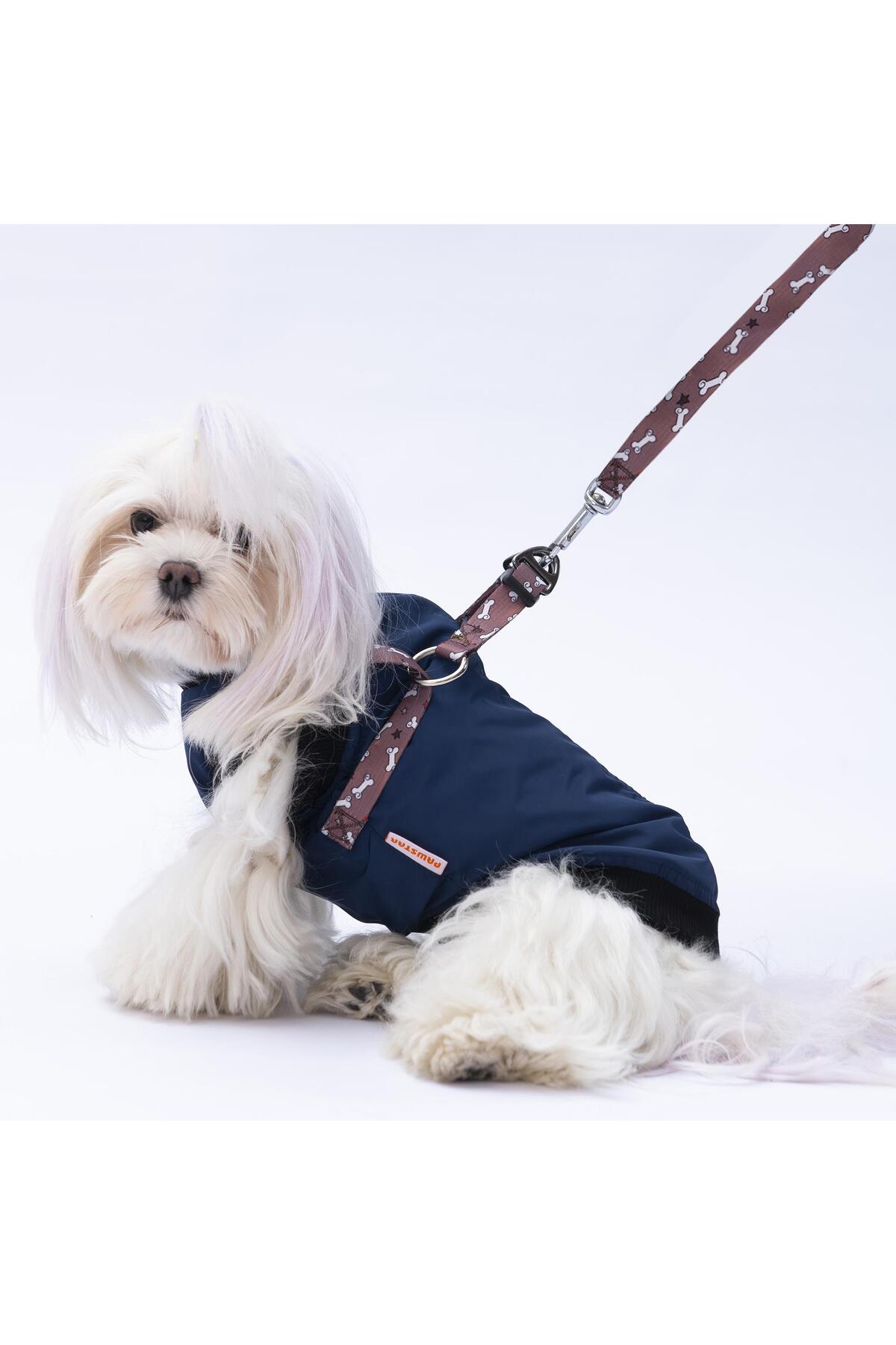 جلیقه سگ پاوستار Pawstar مدل Nuuk PS24-1038، سرمه‌ای