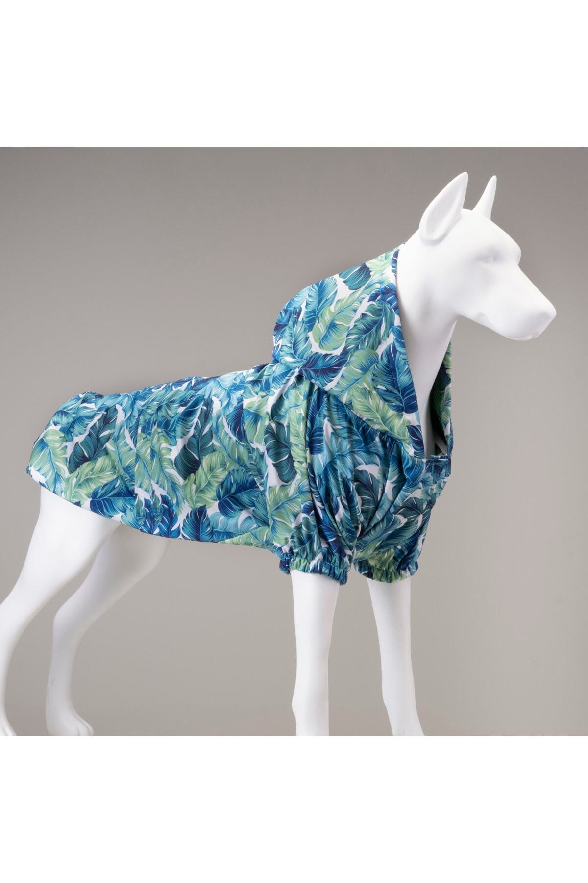 بارانی ضدآب کلاه‌دار سگ لیندو داگز Lindodogs Aqua