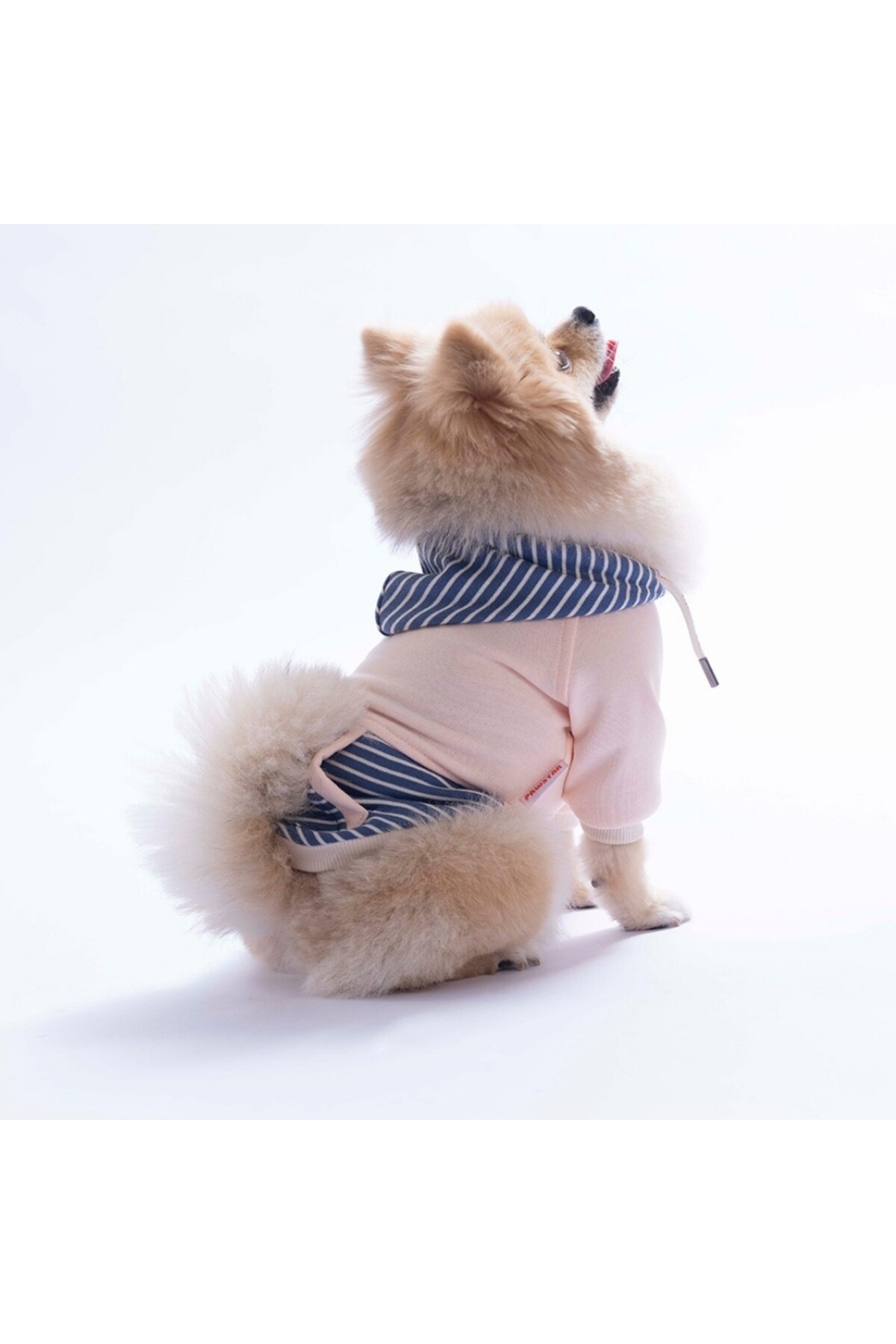 هودی سگ صورتی Sera Stripe پاواستار Pawstar مدل PS26-1149