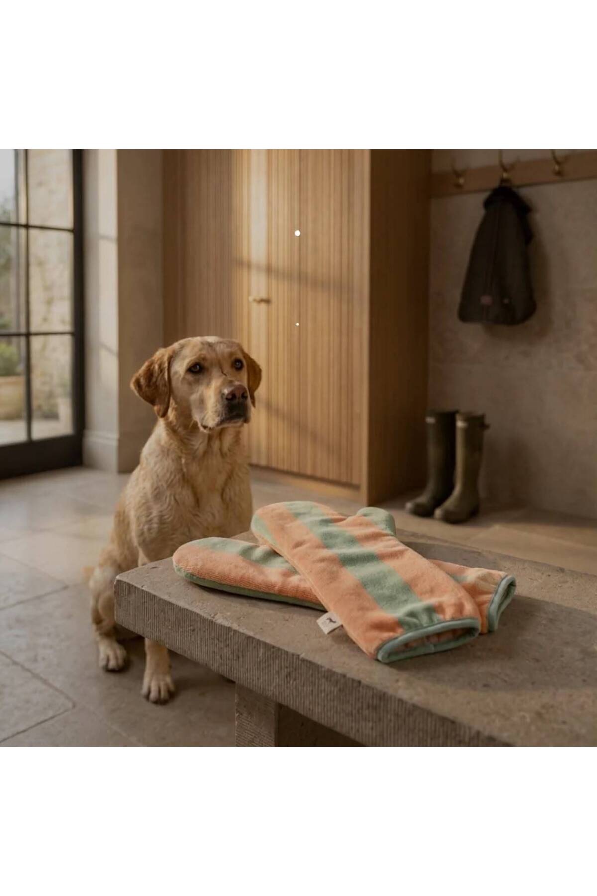 دستکش خشک‌کن پنجه سگ بارکی ازمیر Barkie İzmir Soft Rituals، زرد