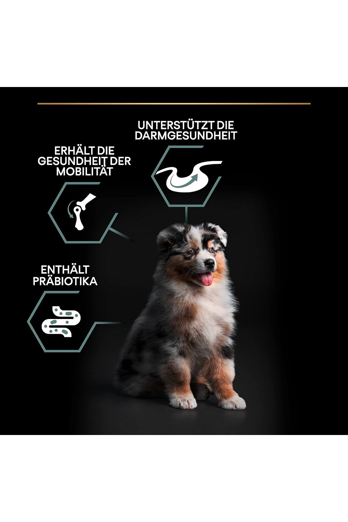 غذای خشک توله‌سگ پرو پلن Pro Plan Medium Puppy با طعم گوشت بره، ۳ کیلوگرم