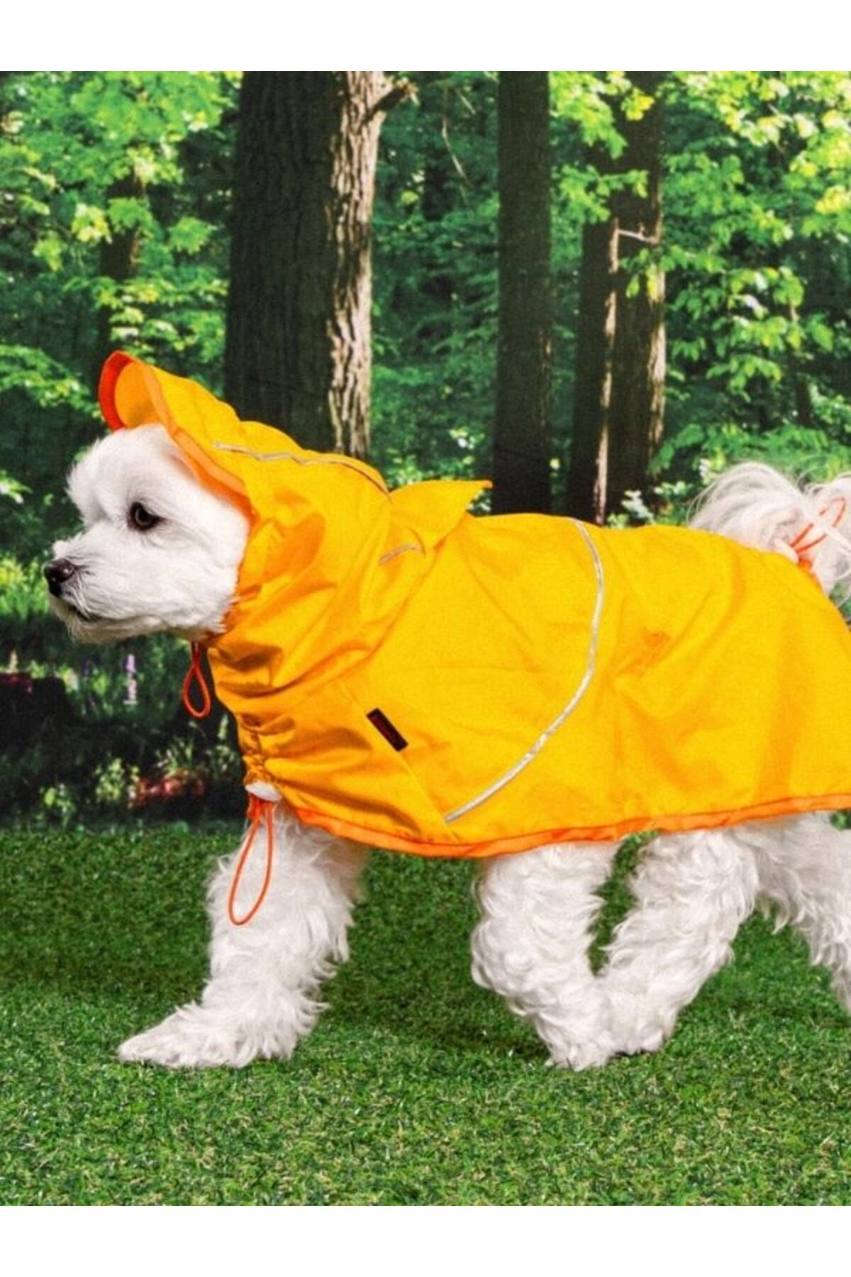 بارانی پانچو سگ پوپیا Puppia مدل RainLite، زرد