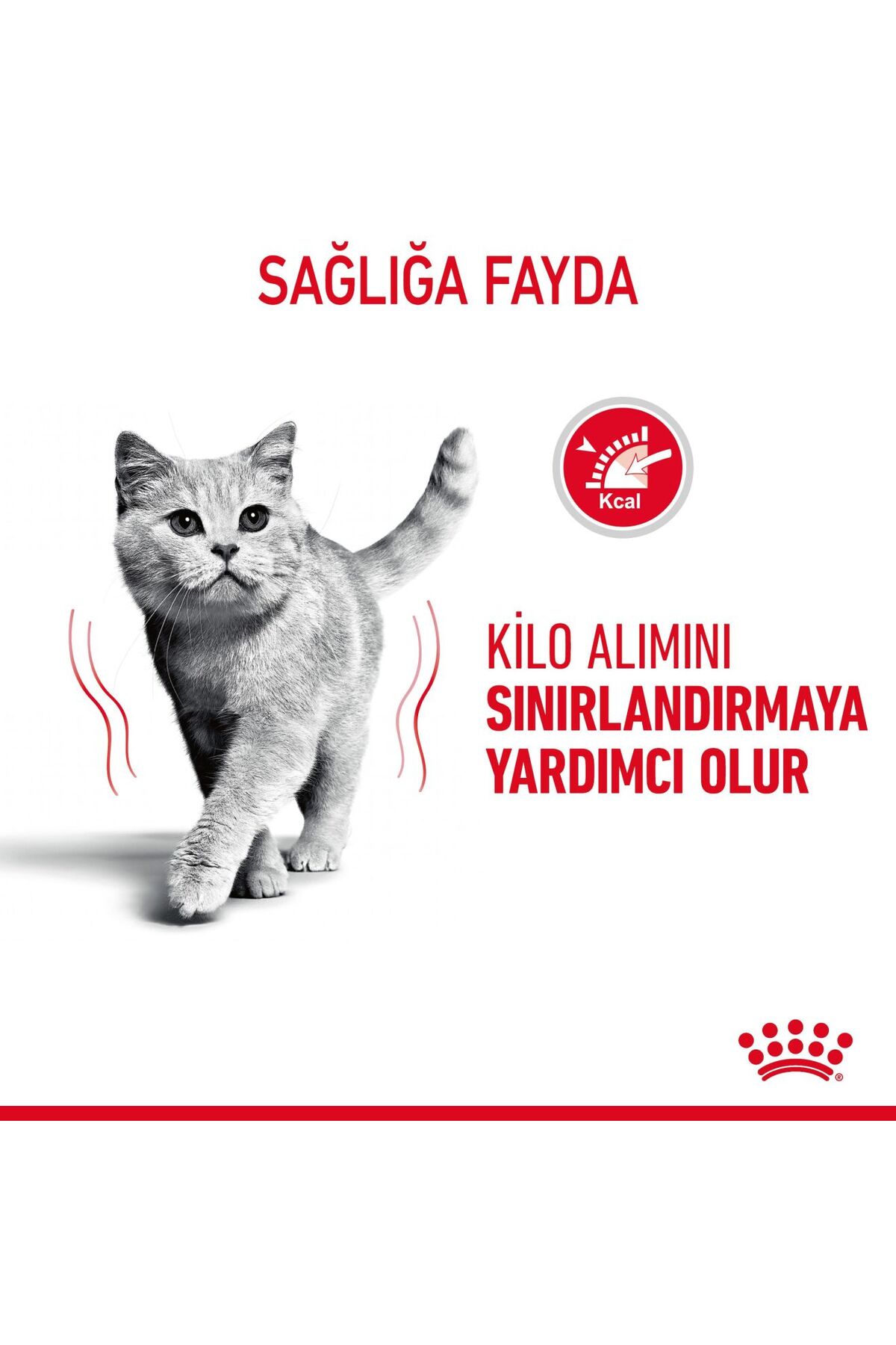 غذای خشک گربه رویال کنین Royal Canin Lightweight، ۱.۵ کیلوگرم