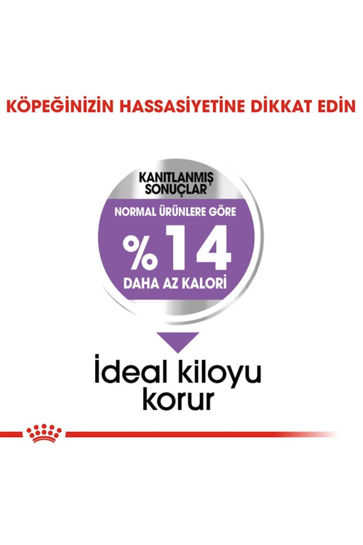 غذای خشک سگ بالغ عقیم‌شده رویال کنین Royal Canin Mini Sterilised، ۳ کیلوگرم