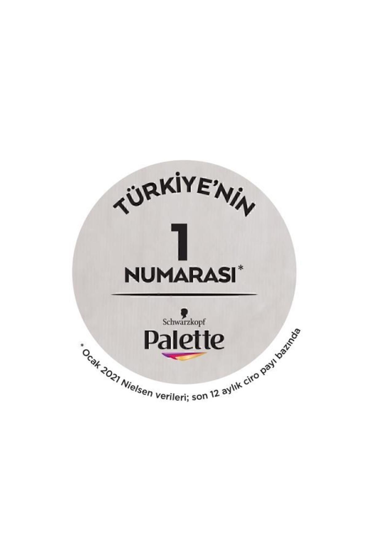 رنگ موی طبیعی زنانه مدل 4-60 رنگ قهوه‌ای روشن پالت Palette