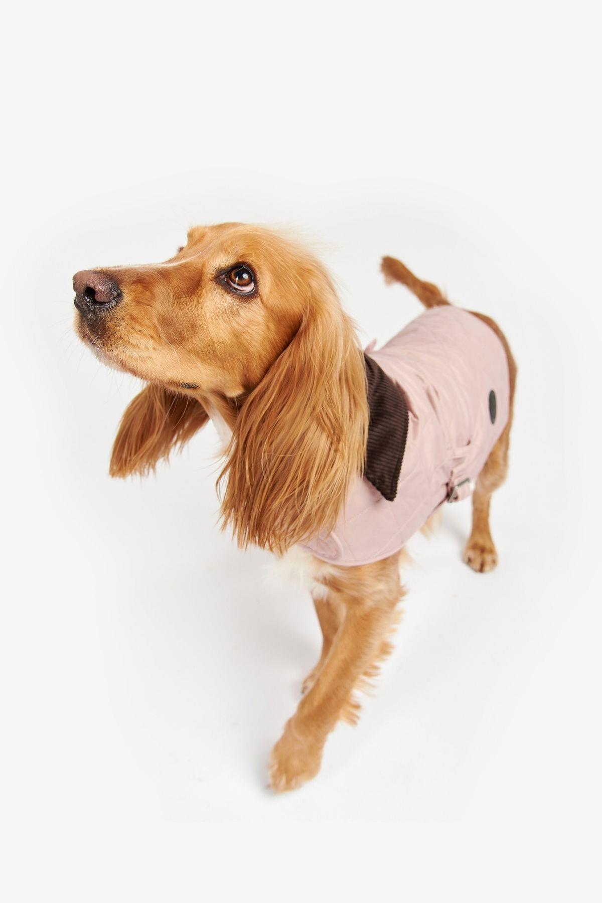 لباس رویی لحافی سگ باربور Barbour صورتی PI12، مدل DCO0004-892