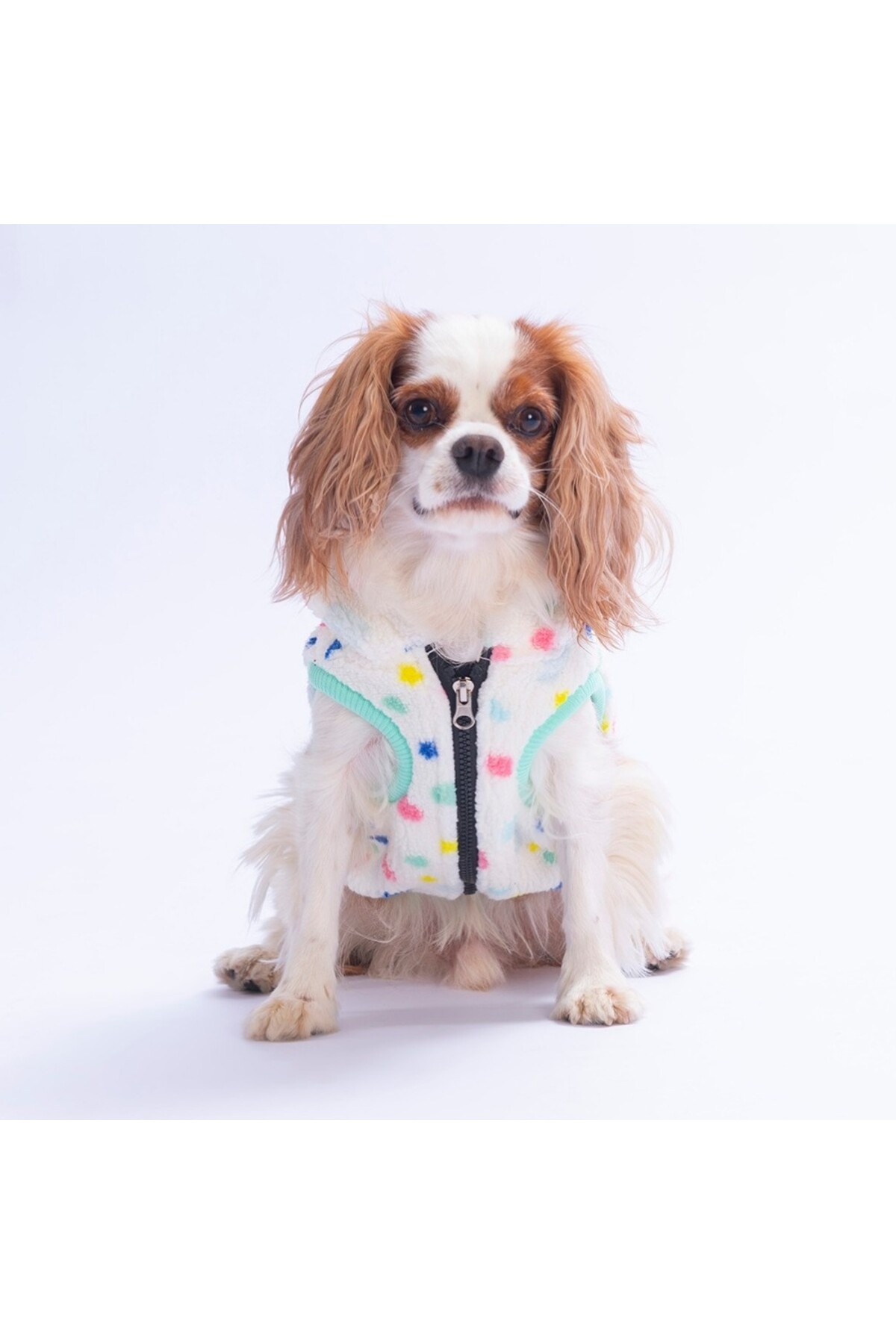 جلیقه پولیشی سگ و گربه پاوستار Pawstar Candy Tahoe مدل PS26-1184 با گوش‌های پولیشی چندرنگ
