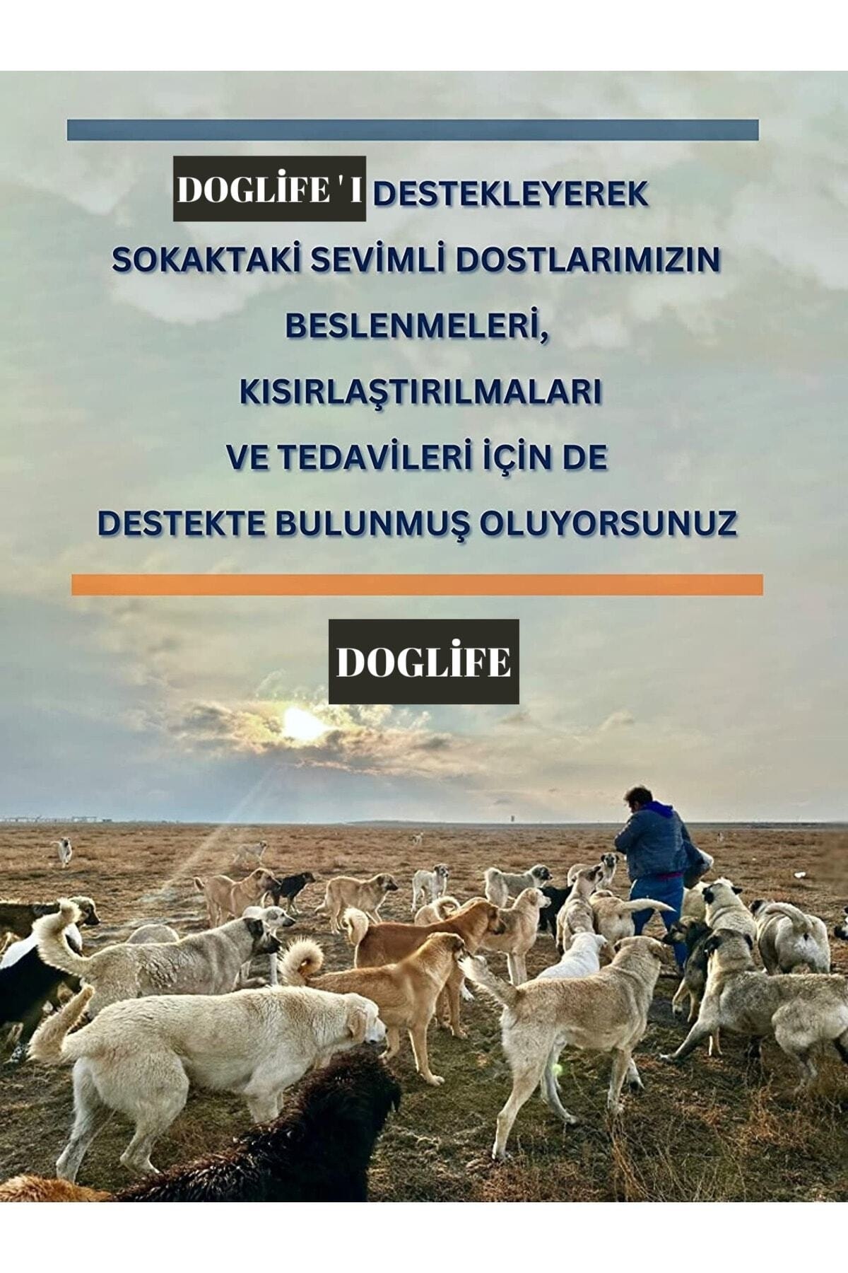 غذای خشک سگ بالغ با طعم گوشت گاو ۱۵ کیلوگرمی داگ‌لایف Doglife