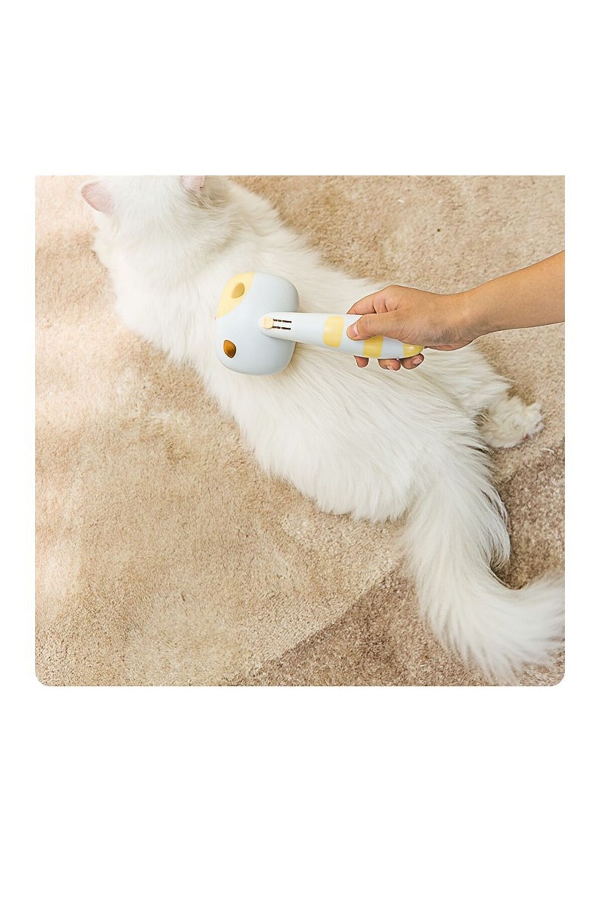 شانه گربه و سگ رایکو RAIKOU، جمع‌کننده موی گربه، مدل 98516584