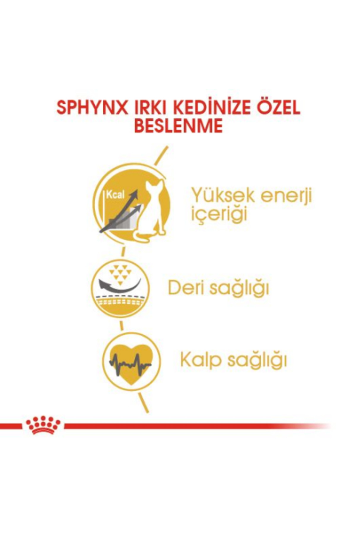 غذای خشک گربه اسفینکس رویال کنین Royal Canin، ۲ کیلوگرم