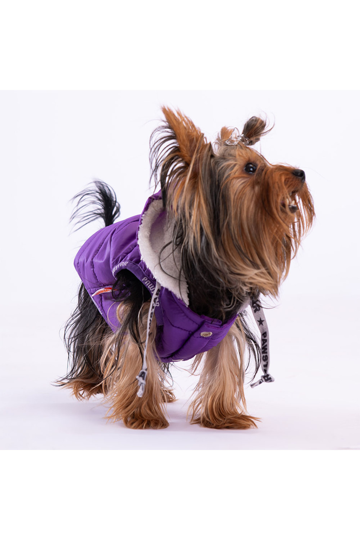 جلیقه بارانی بنفش سگ پاوستار Pawstar Railway Anorak مدل V2310