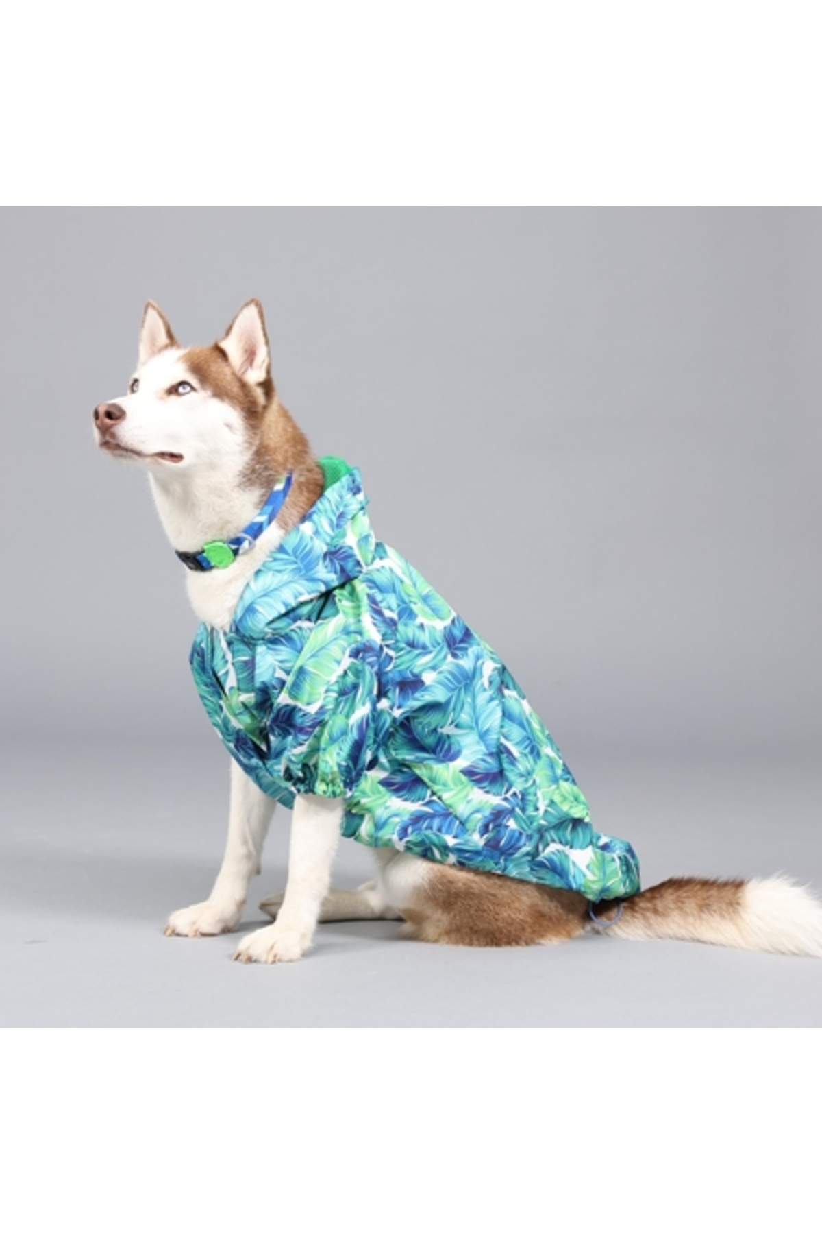 بارانی ضدآب کلاه‌دار سگ لیندو داگز Lindodogs Aqua