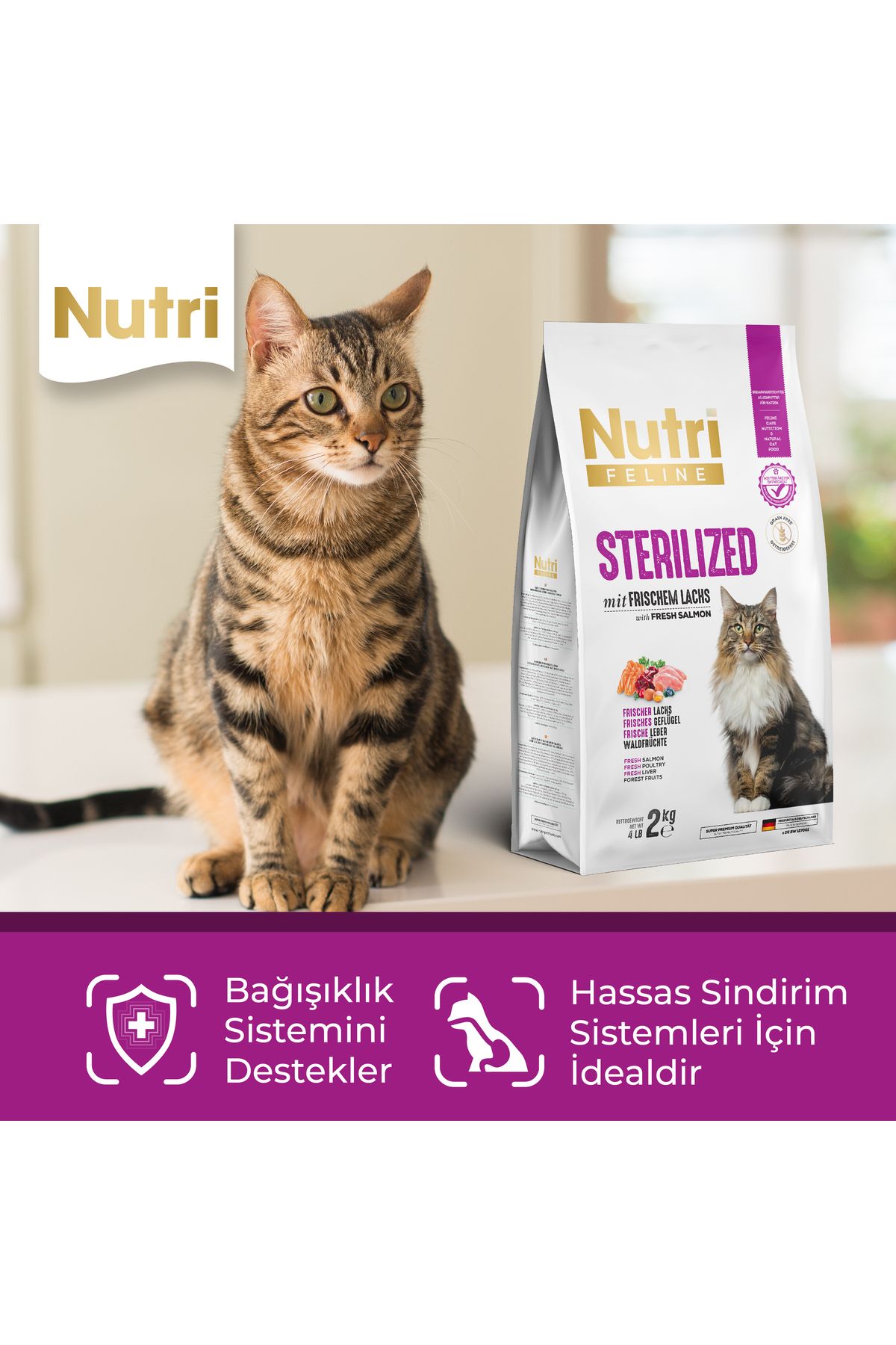 غذای خشک گربه عقیم‌شده نوتری فیلاین nutrifeline Nutri Feline سری Sterilized با سالمون تازه، ۲ کیلوگرم