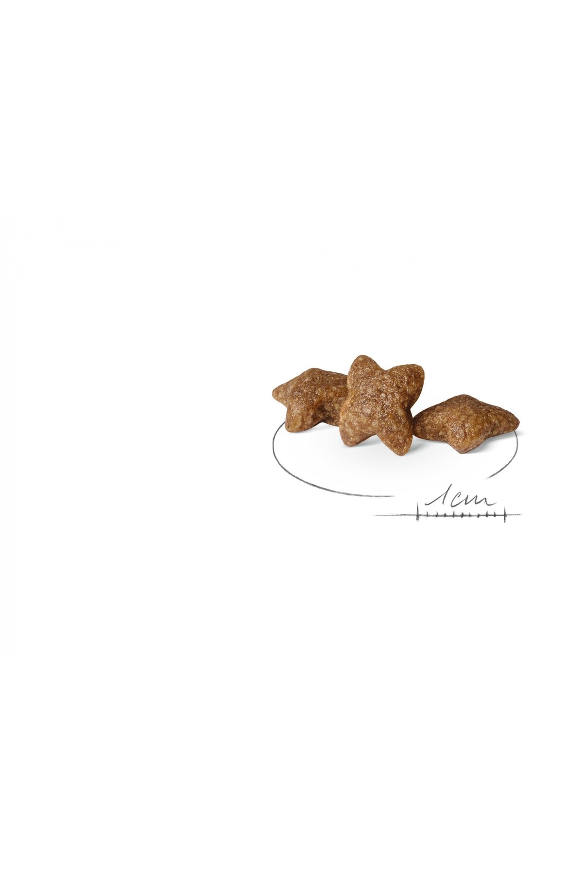 غذای خشک سگ بالغ نژادهای کوچک رویال کنین Royal Canin Mini Adult، ۴ کیلوگرم