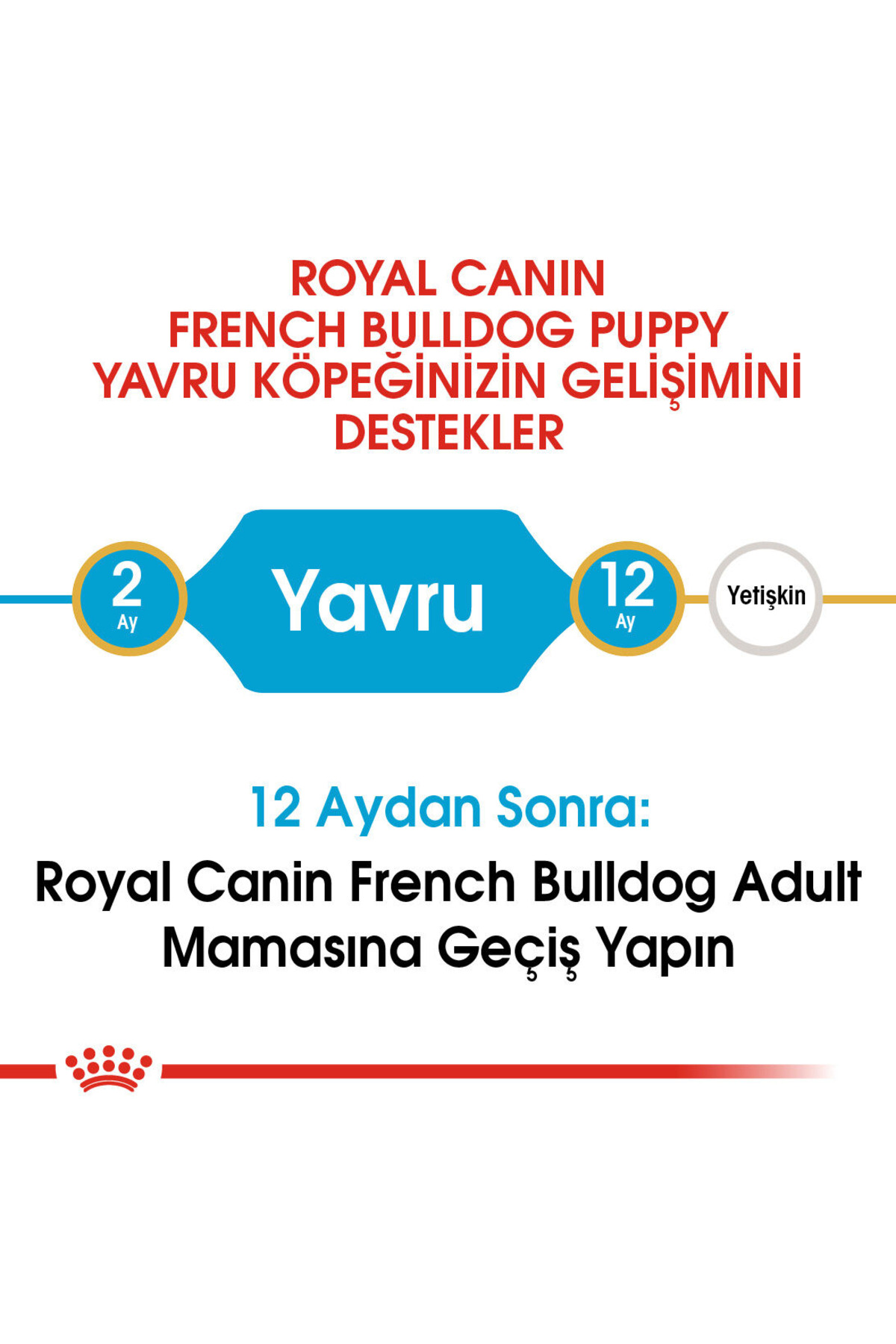 غذای خشک توله‌سگ بولداگ فرانسوی ۳ کیلوگرمی رویال کنین Royal Canin
