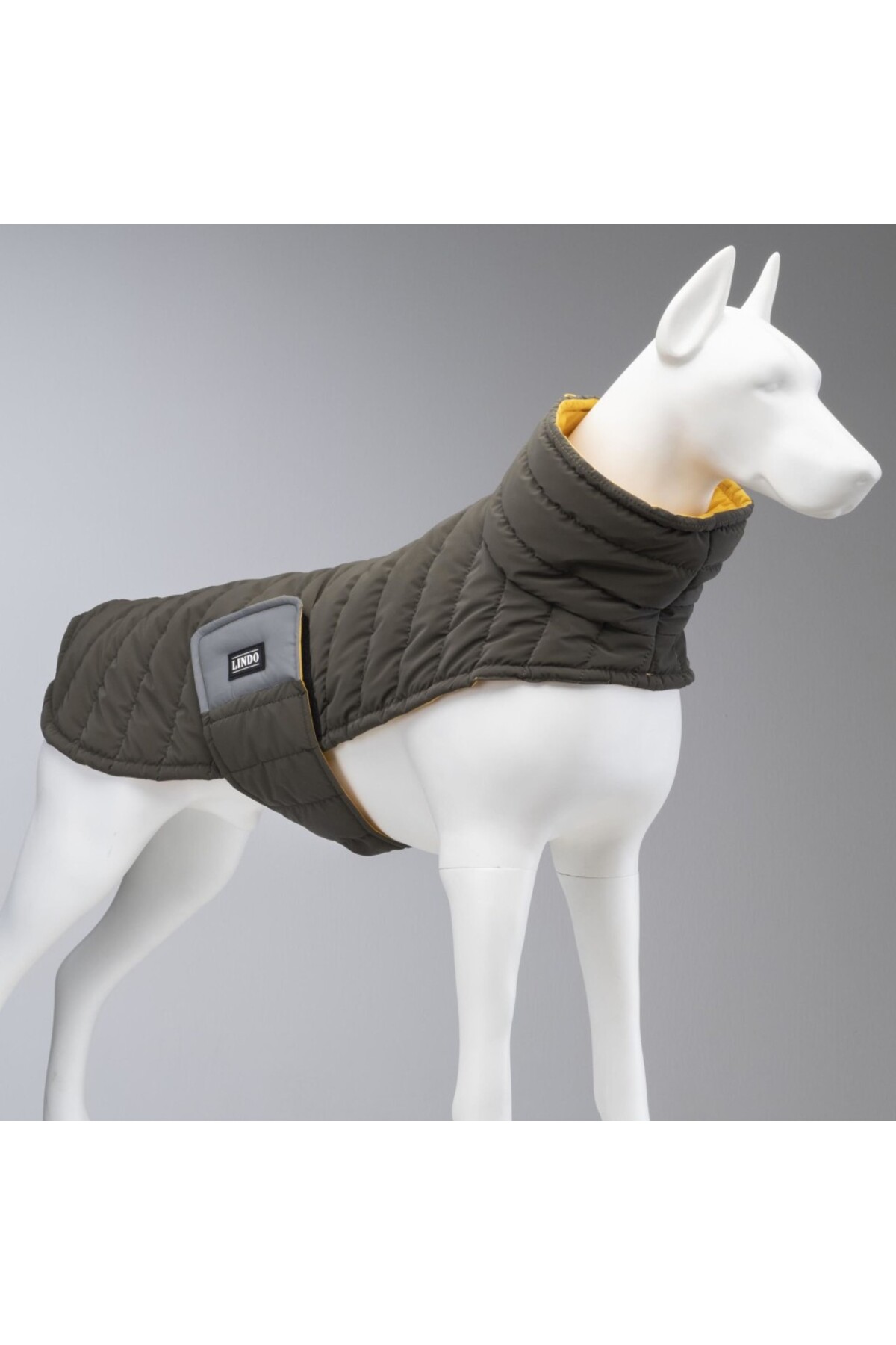 لباس سگ لیندو داگز Lindodogs Air Puff Mango، سبز، مناسب نژادهای کوچک، متوسط و بزرگ