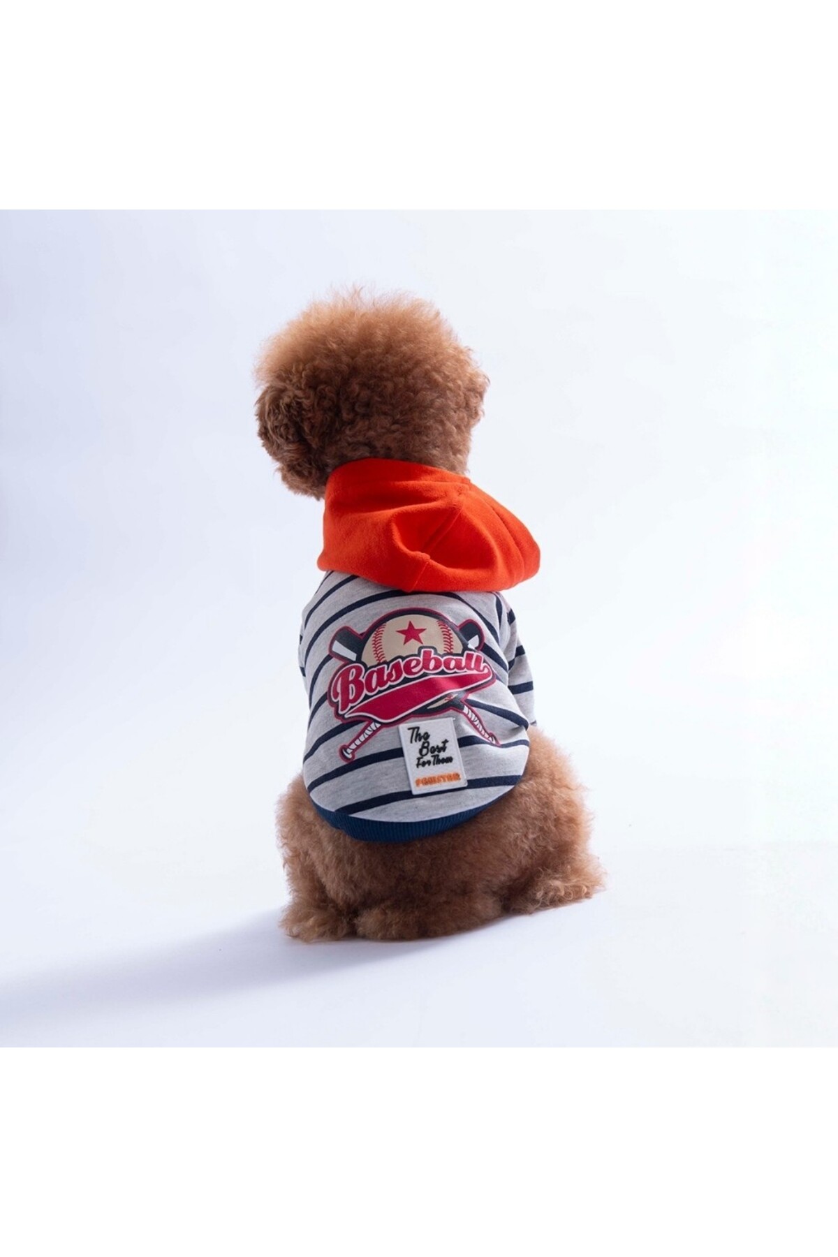 هودی سگ پاوستار Pawstar Seattle Pitch مدل PS26-1163، نارنجی