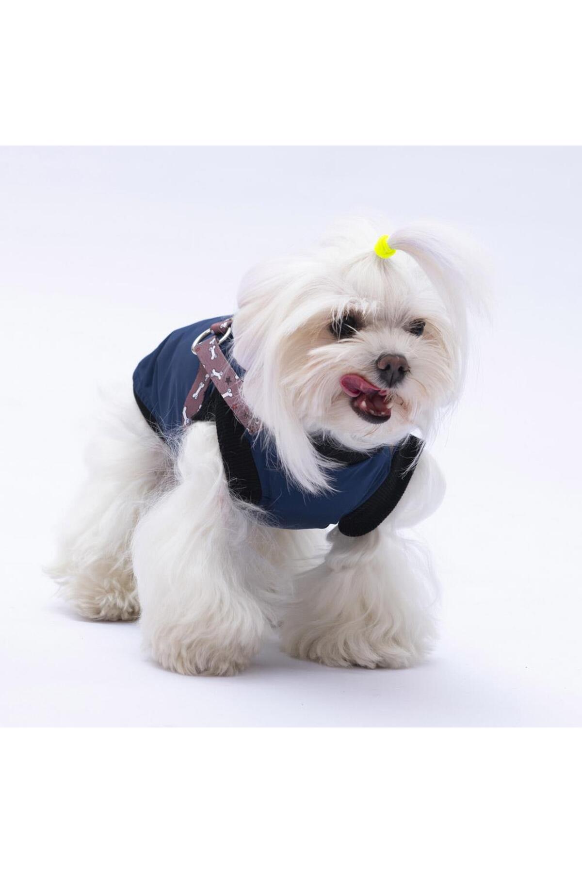 جلیقه سگ پاوستار Pawstar مدل Nuuk PS24-1038، سرمه‌ای