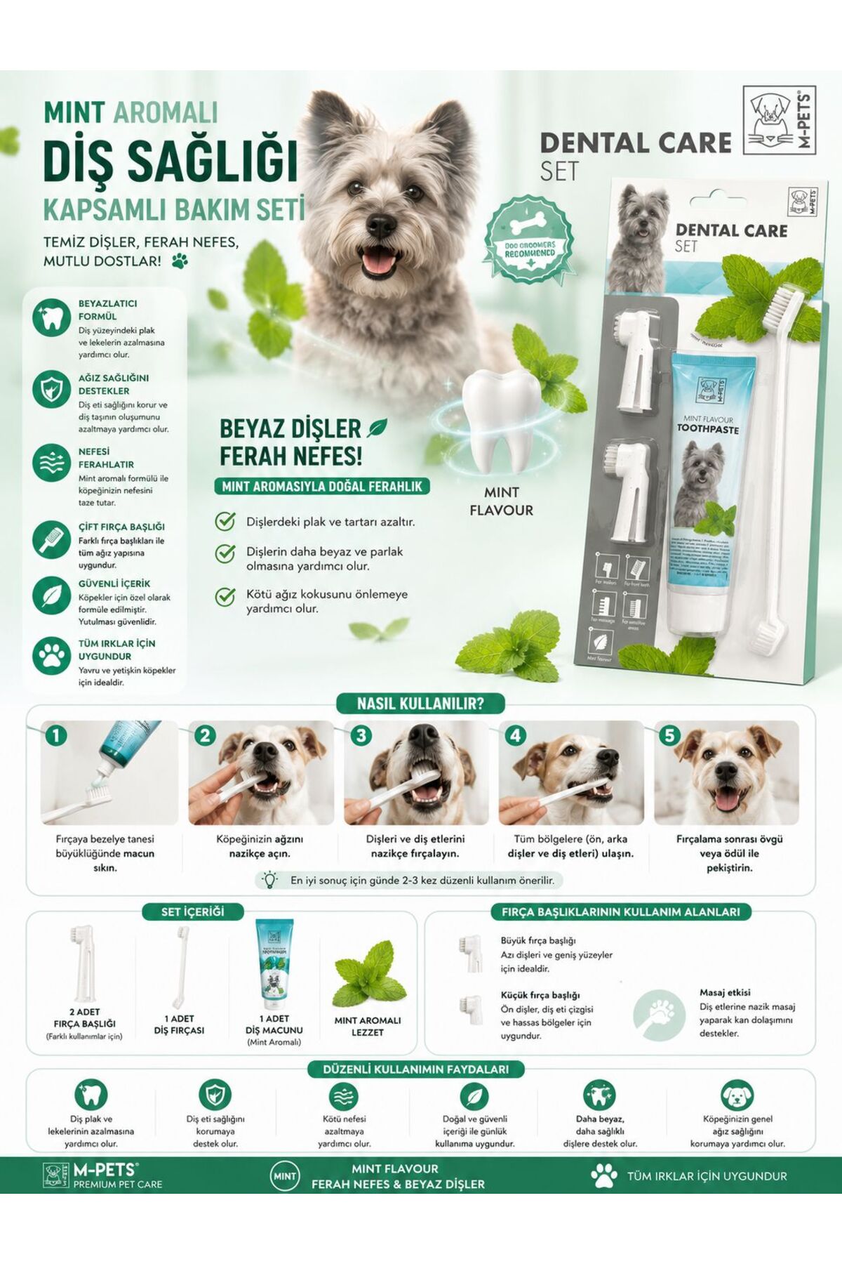 ست خمیر دندان نعناعی و مسواک سگ ام‌پتس M-PETS مدل BS0017