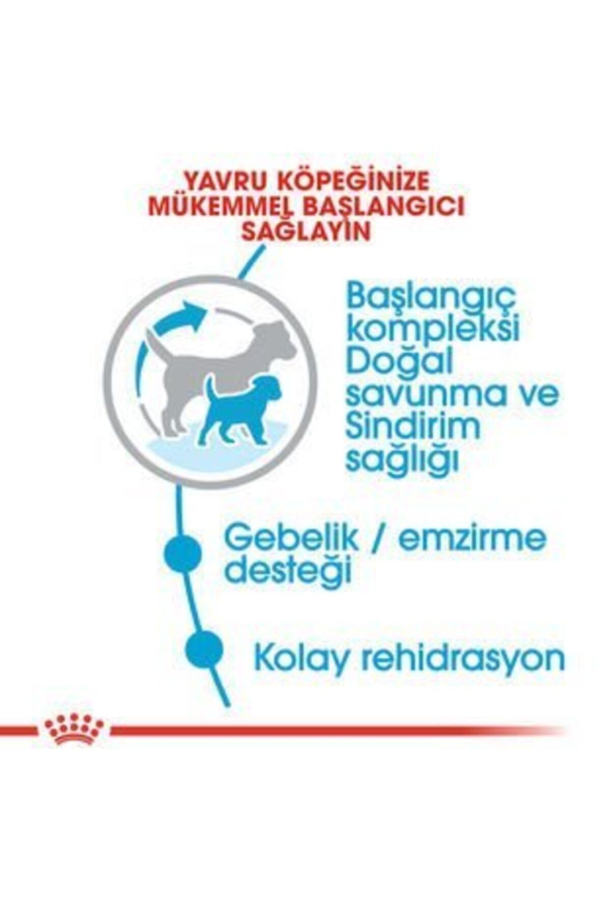 غذای خشک سگ رویال کنین Royal Canin Mini Starter Mother&babydog، ۴ کیلوگرم