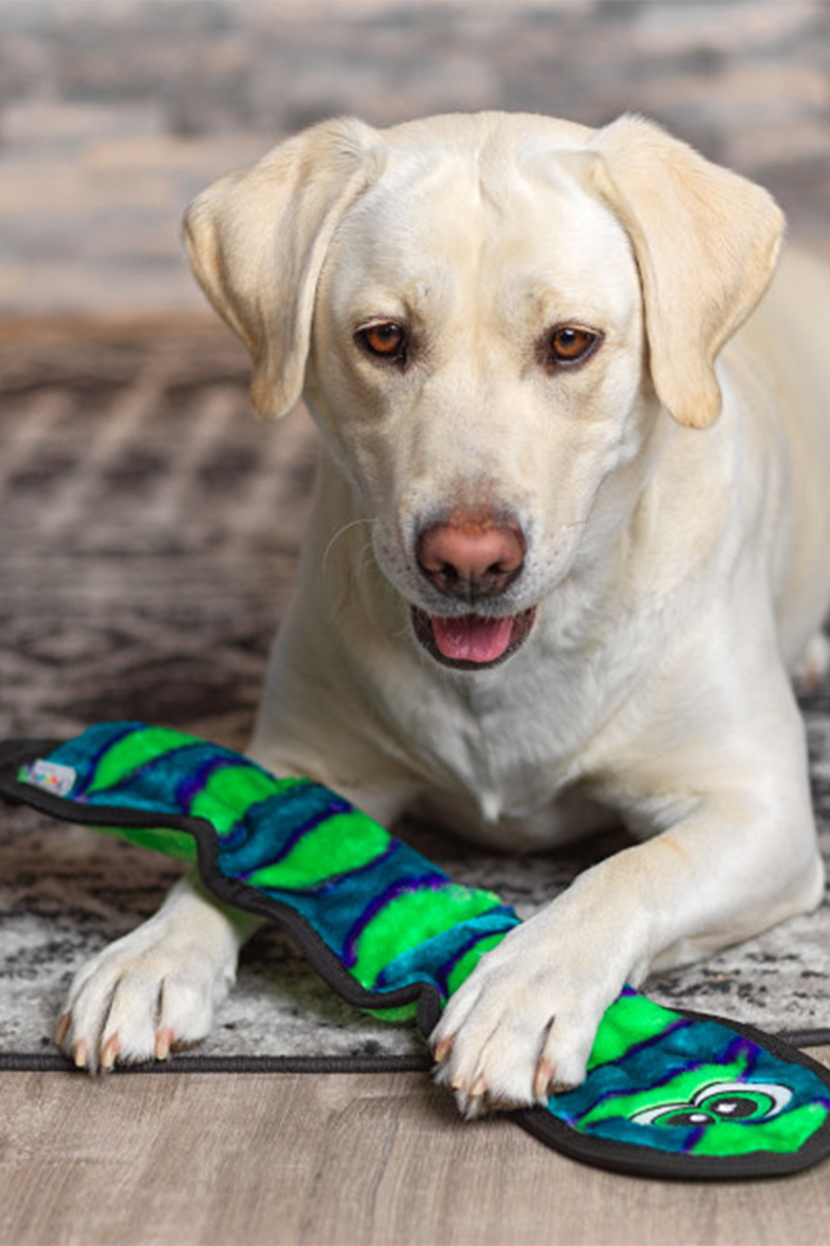 اسباب‌بازی سگ طرح مار، سایز Large، Invincibles Durablez از اوت‌وارد هاوند Outward Hound چندرنگ