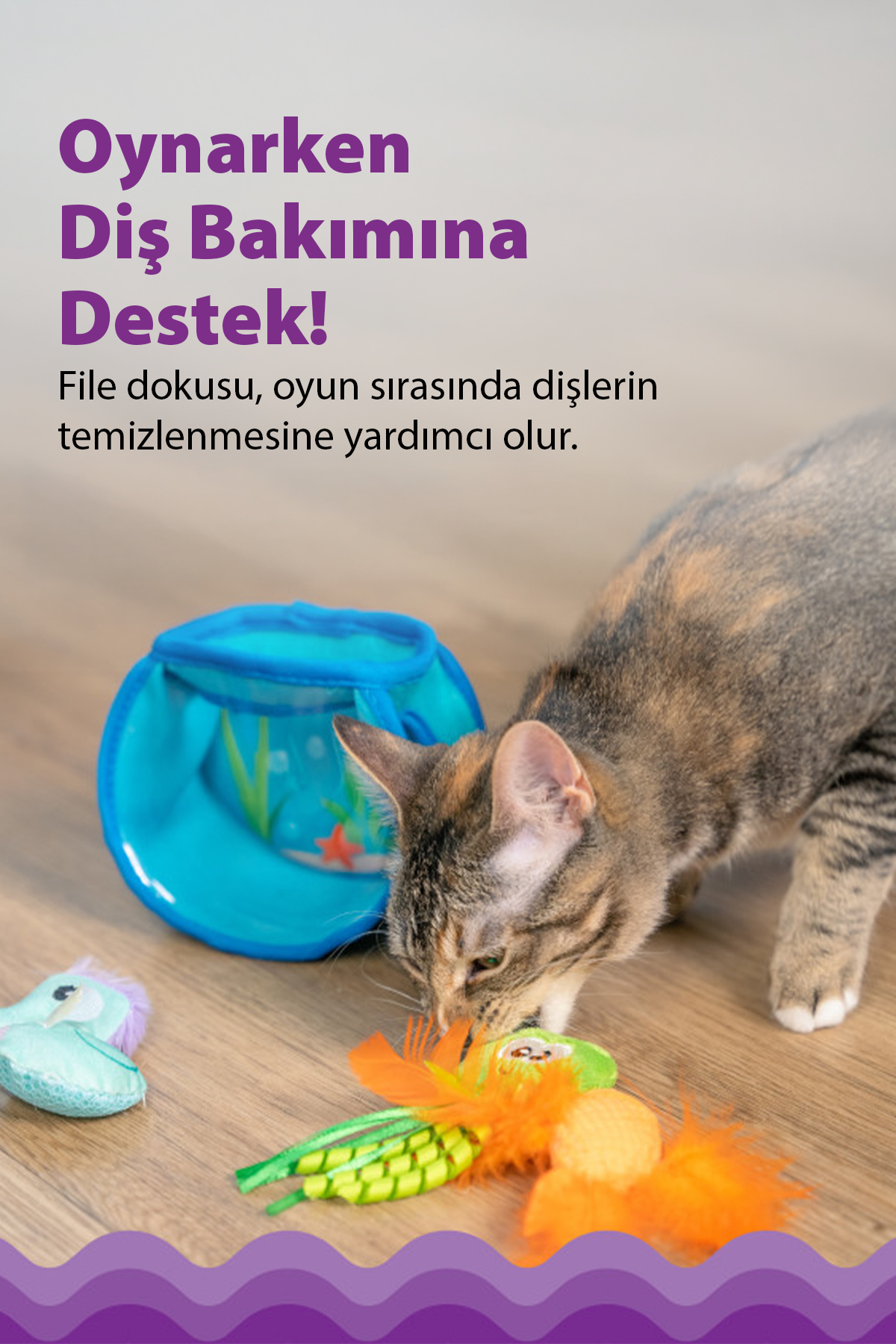 مجموعه اسباب‌بازی گربه با کت‌نیپ Catstages Hide & Seek Fish Bowl اوت‌وارد هاوند Outward Hound چندرنگ