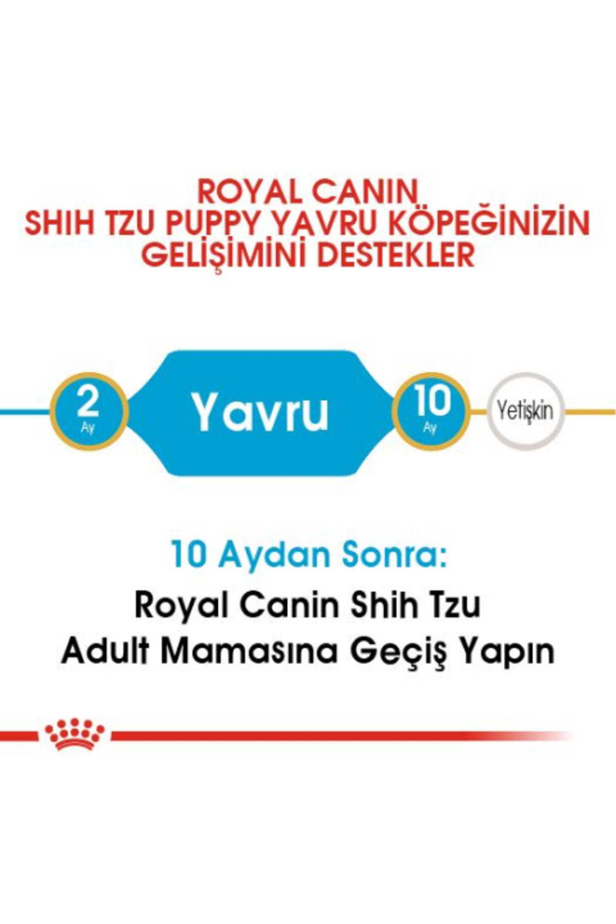 غذای خشک توله‌سگ شیتزو رویال کنین Royal Canin، ۱٫۵ کیلوگرم 1,5 kg