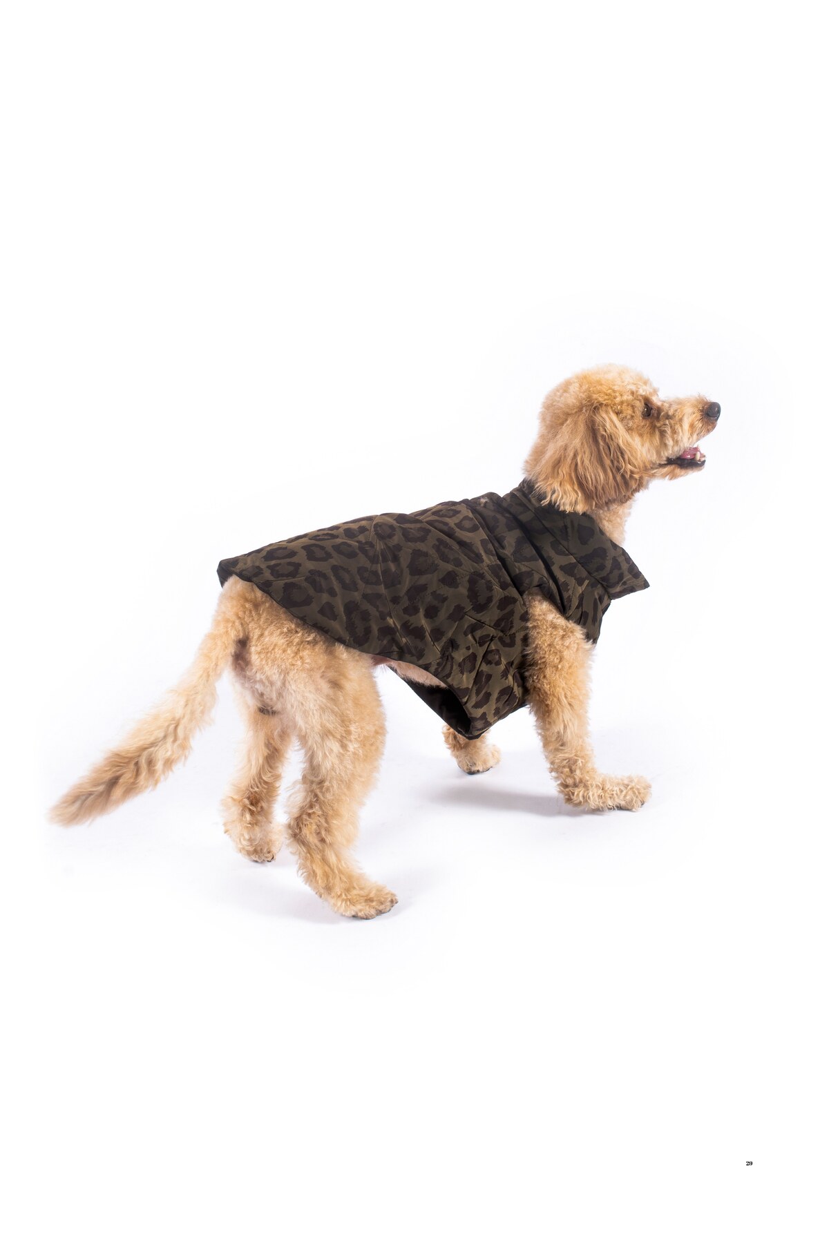 جلیقه لحافی سگ کاجولند Kajuland Nomad، خاکی، مدل KJLND4002