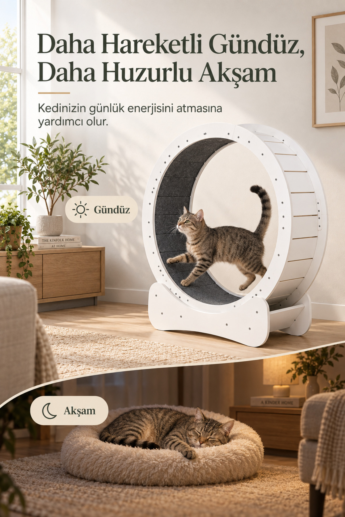 چرخ ورزشی چوبی گربه ۸۰ سانتی‌متری ماولت MAVLET سفید