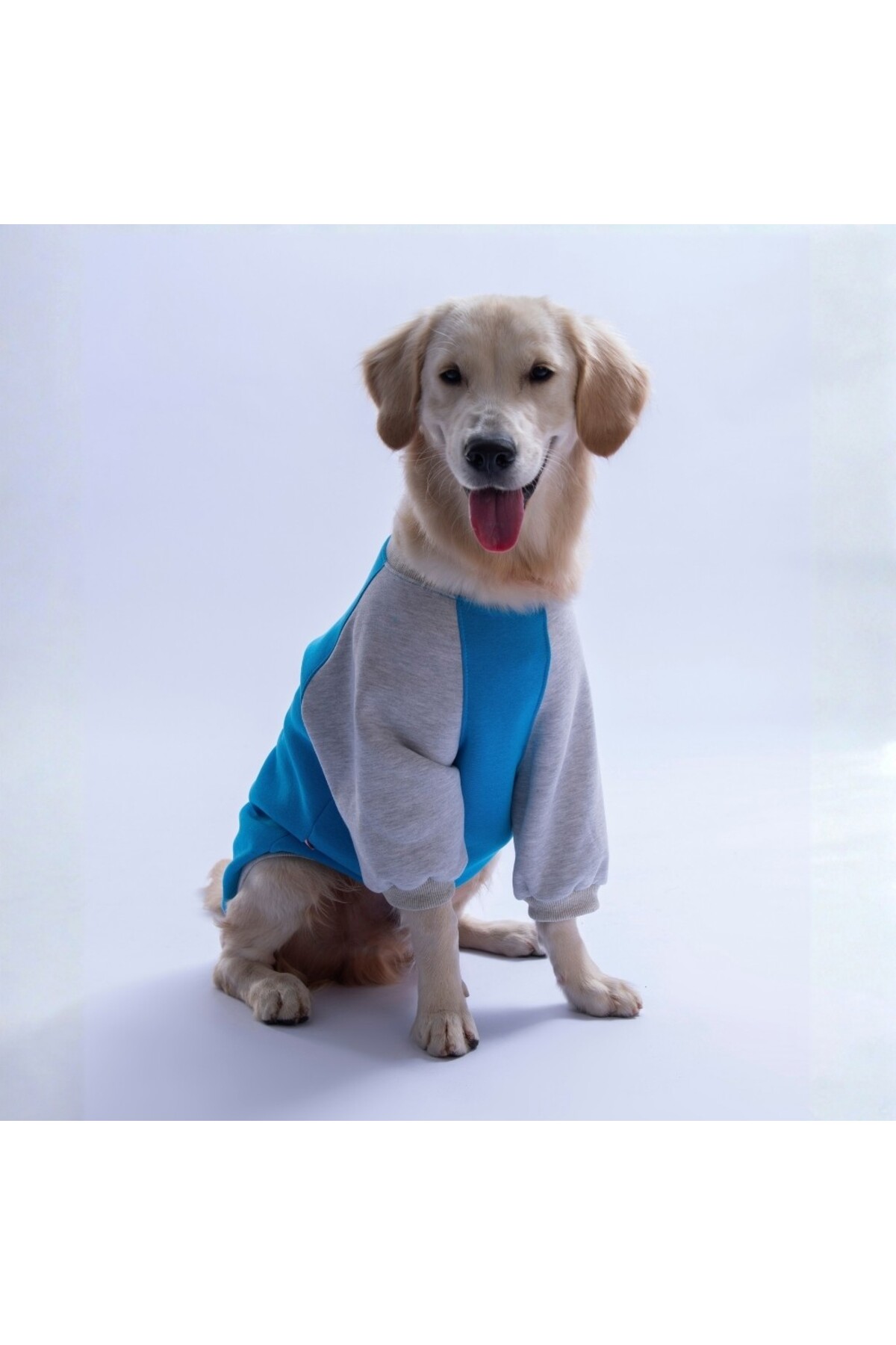 سویشرت سگ پاوستار Pawstar مدل Boston، آبی، مناسب نژادهای متوسط تا بزرگ