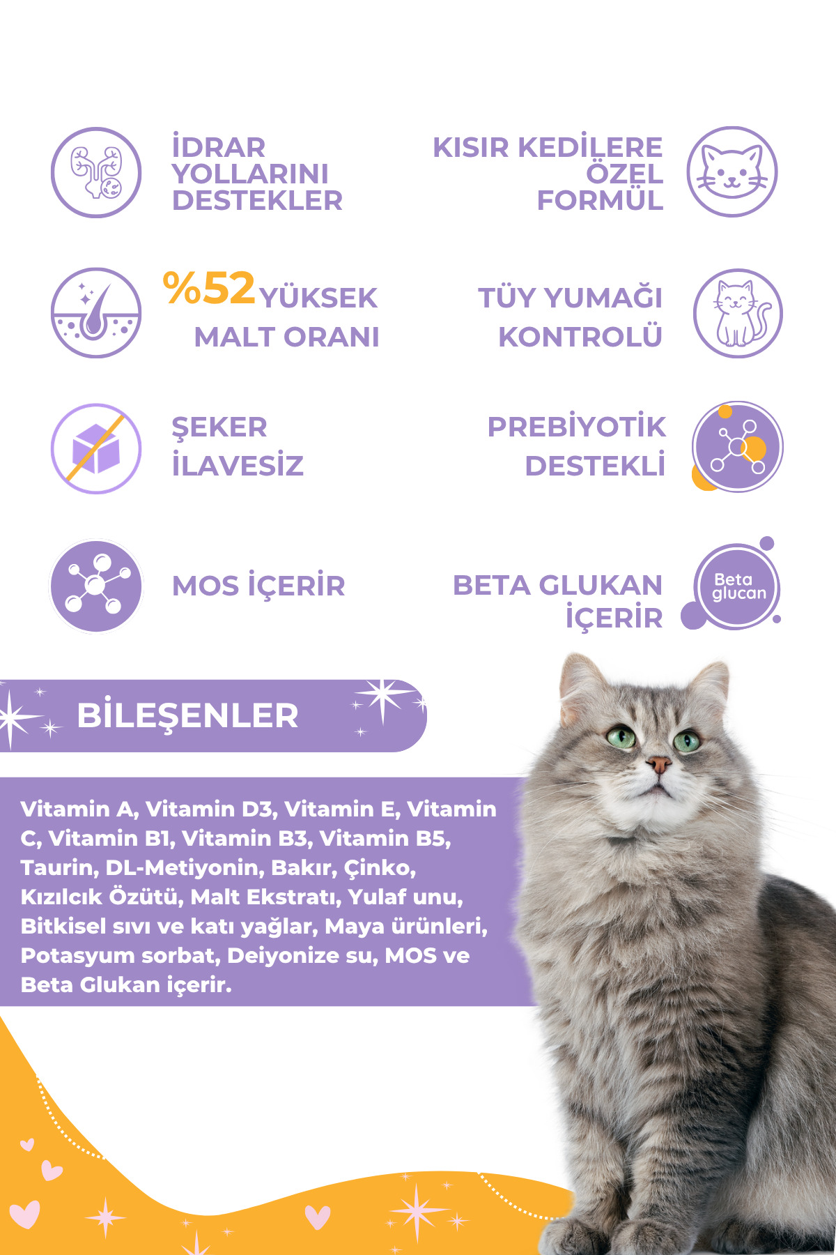 ست مراقبت گربه عقیم‌شده کت‌جوی CATJOY، خمیر مالت Sterile Malt ۱۰۰ گرم و قطره موی گربه B Plus، ۵۰ میلی‌لیتر