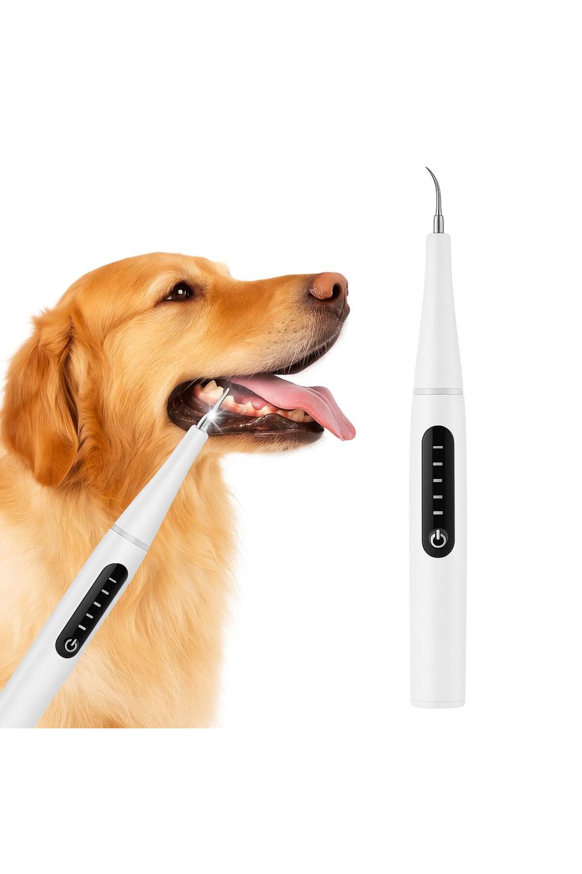 پاک‌کننده حرفه‌ای دندان گربه و سگ ام‌اس پت دیزاین MS Pet Design