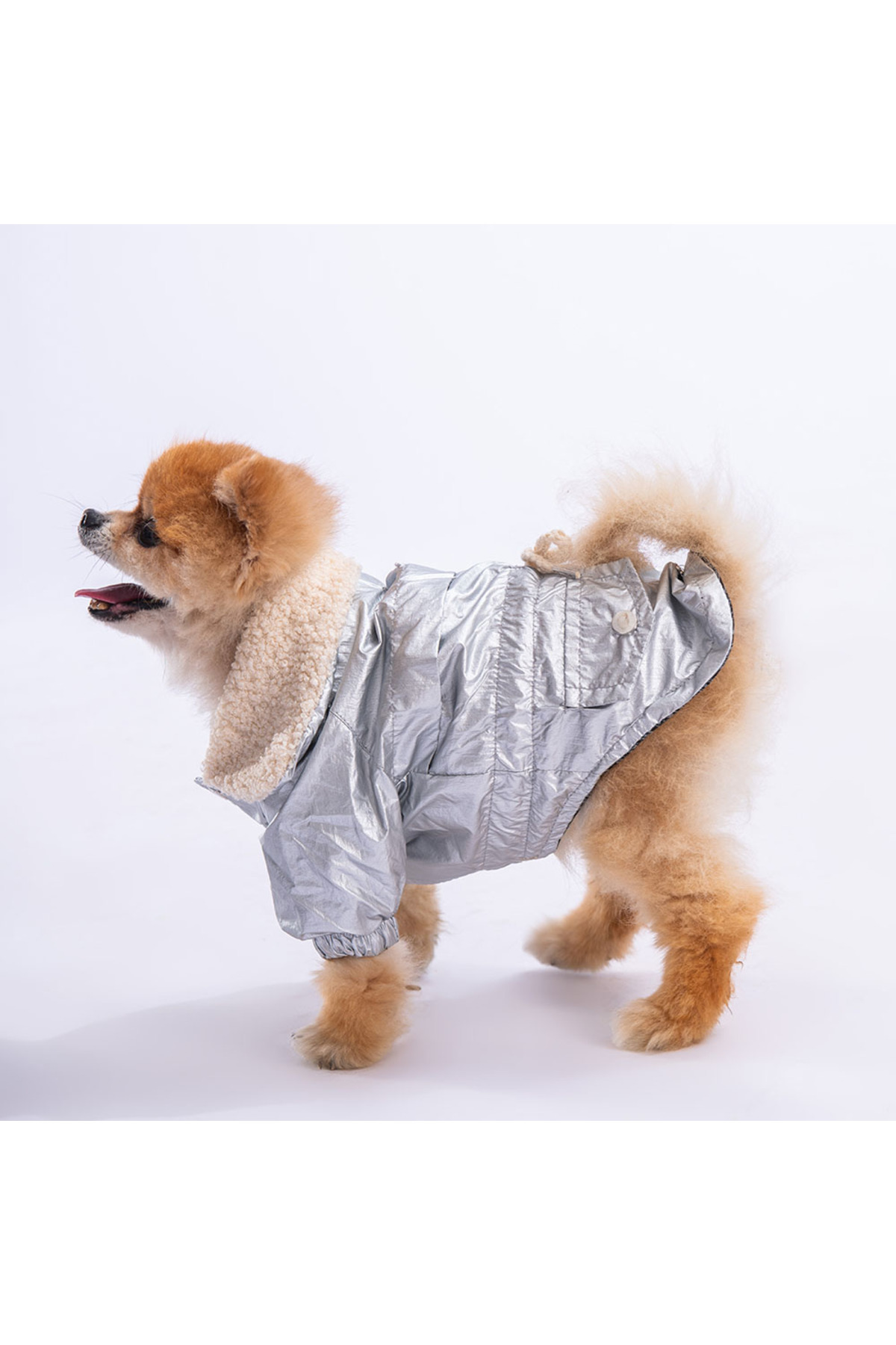 بارانی سگ پاوستار Pawstar مدل B2350، نقره‌ای