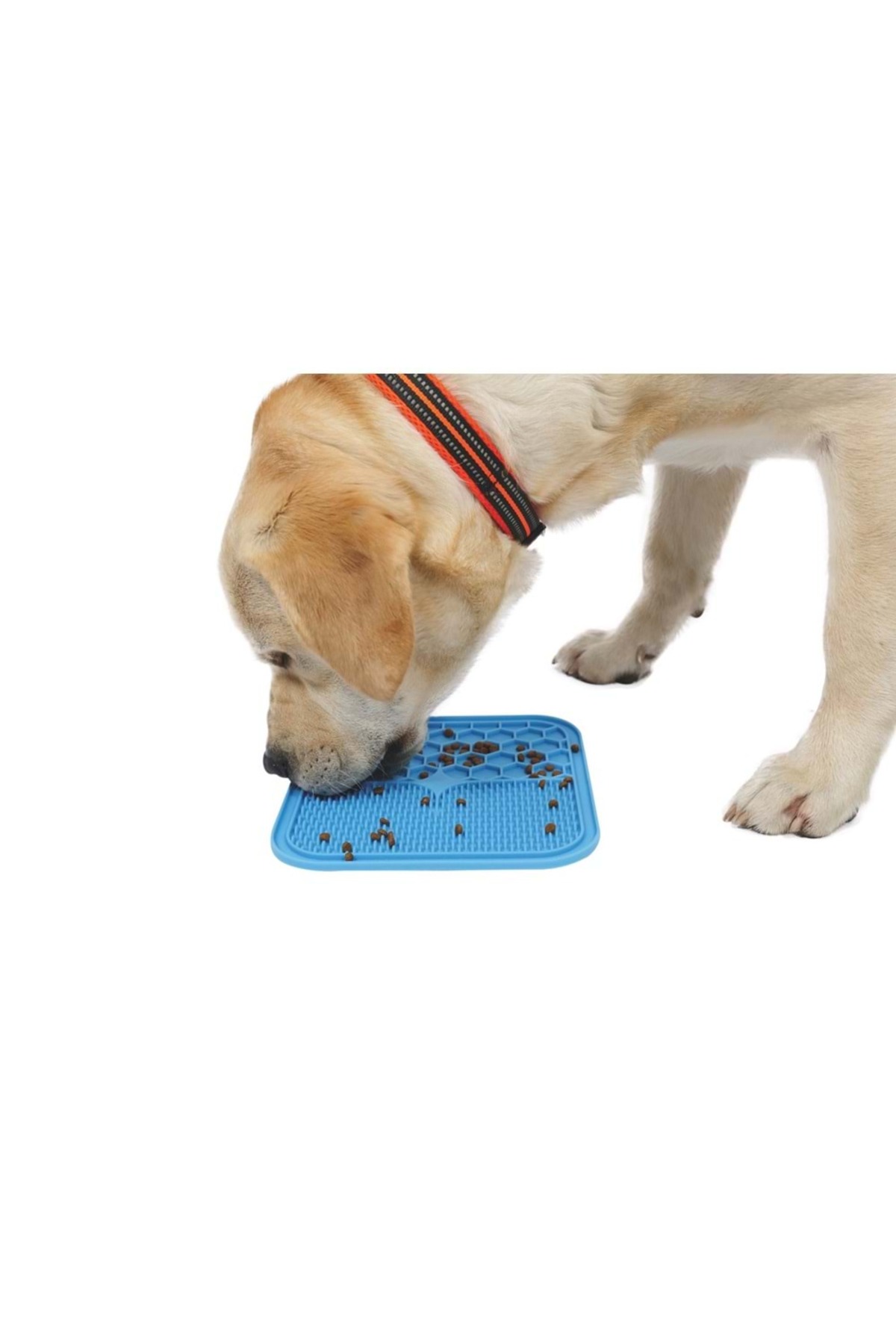 مت تشویقی مایع ام‌پتس M-PETS Lecca، آبی (M)