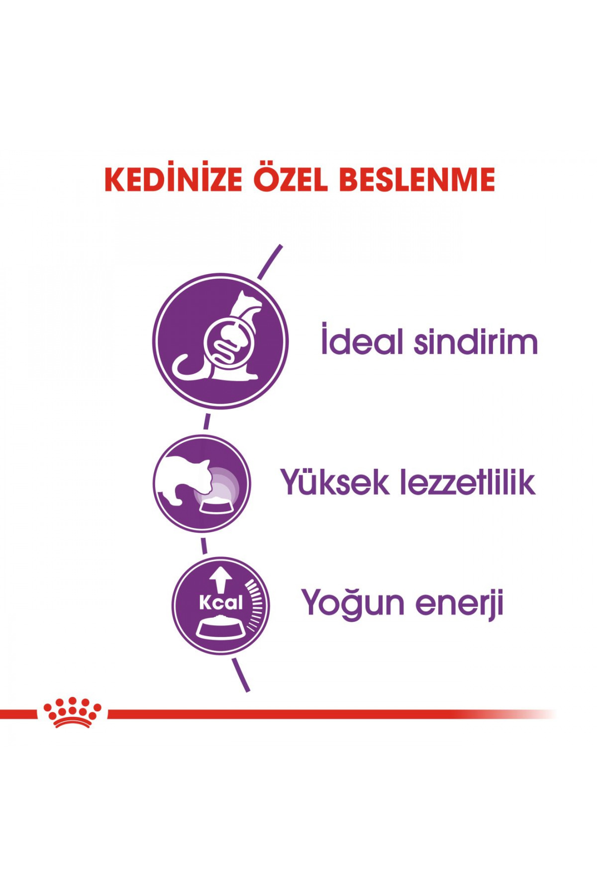 غذای خشک گربه بالغ رویال کنین Royal Canin Sensible 33، ۴۰۰ گرم