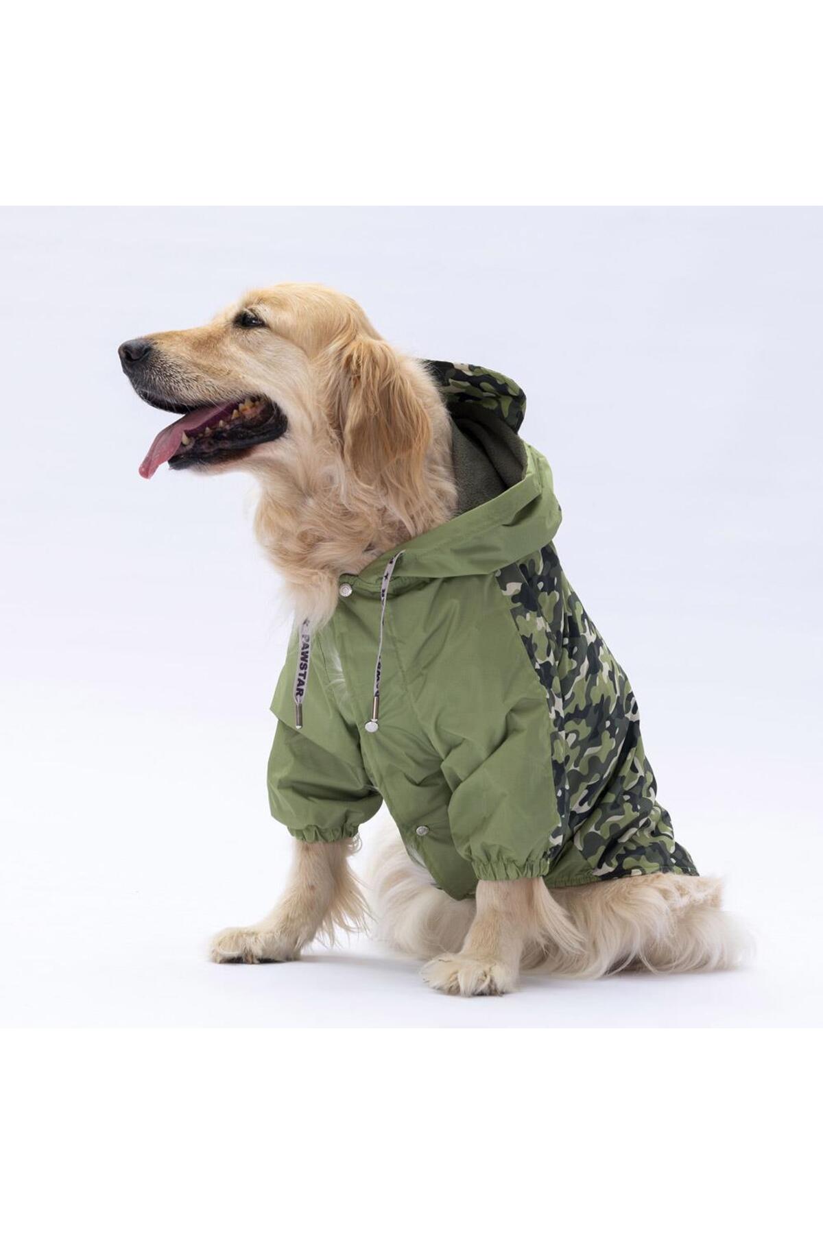 بارانی سرهمی سبز دیژون سگ نژاد بزرگ پاواستار Pawstar