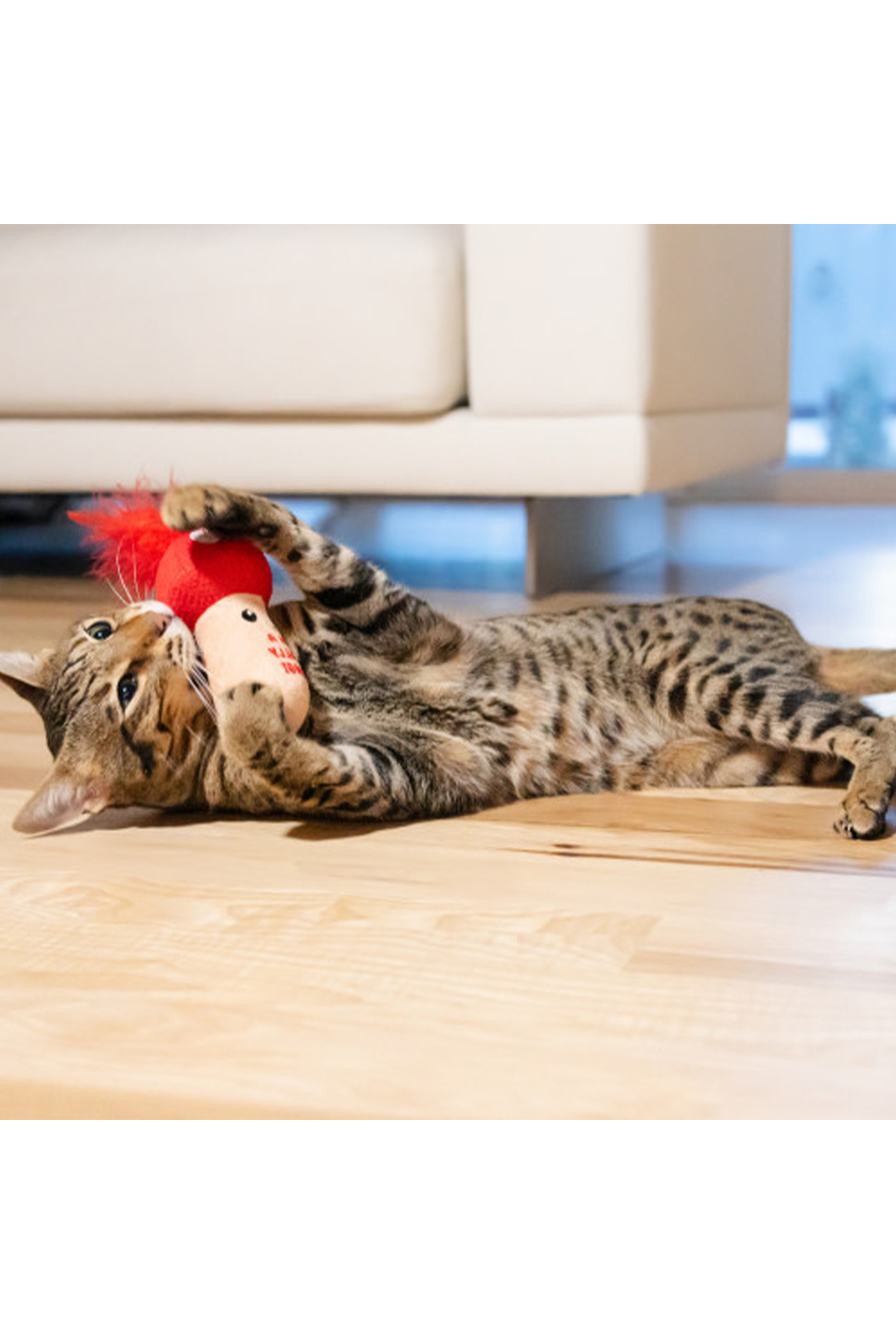 اسباب‌بازی قارچی گربه Catstages Really Fungi کت‌نیپی، اوت‌وارد هاوند Outward Hound چندرنگ