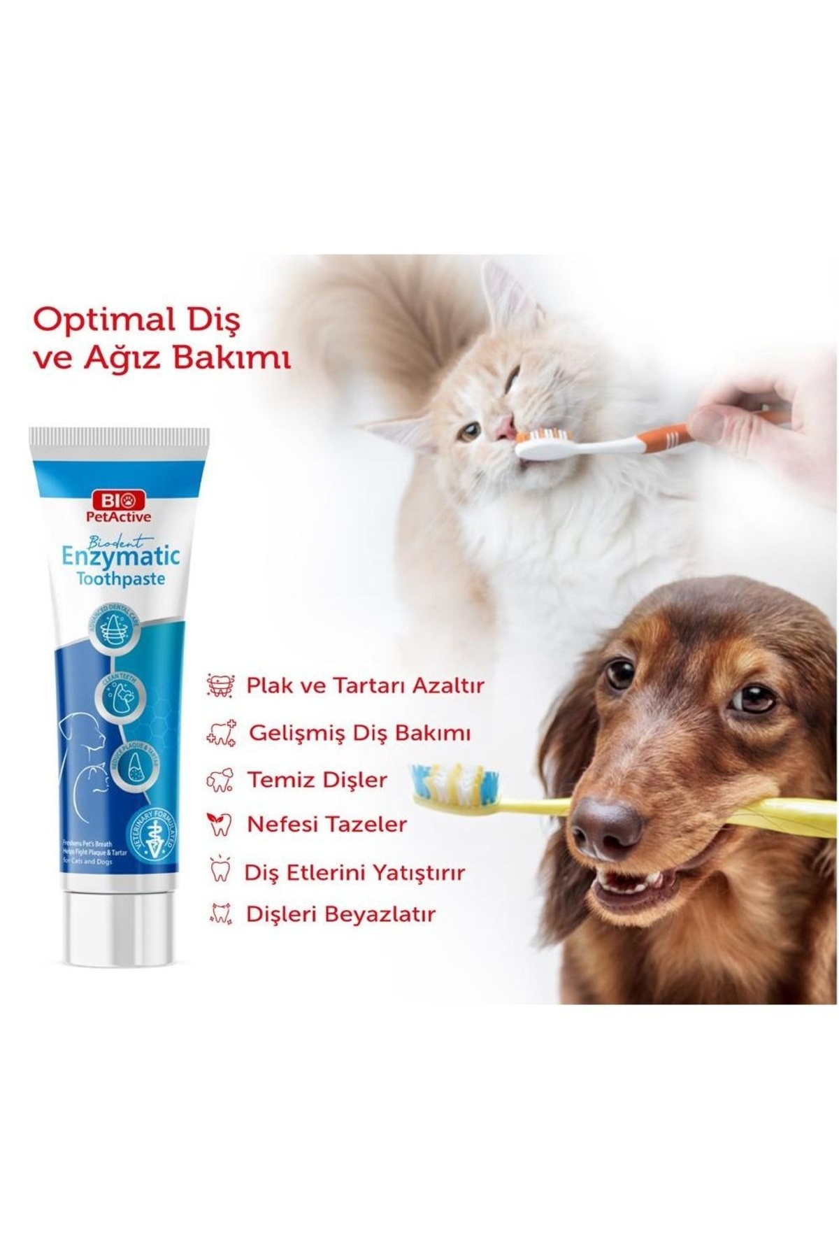 خمیر دندان سگ پت‌اکتیو Pet Active، ۱۰۰ میلی‌لیتر همراه با مسواک سه‌گانه