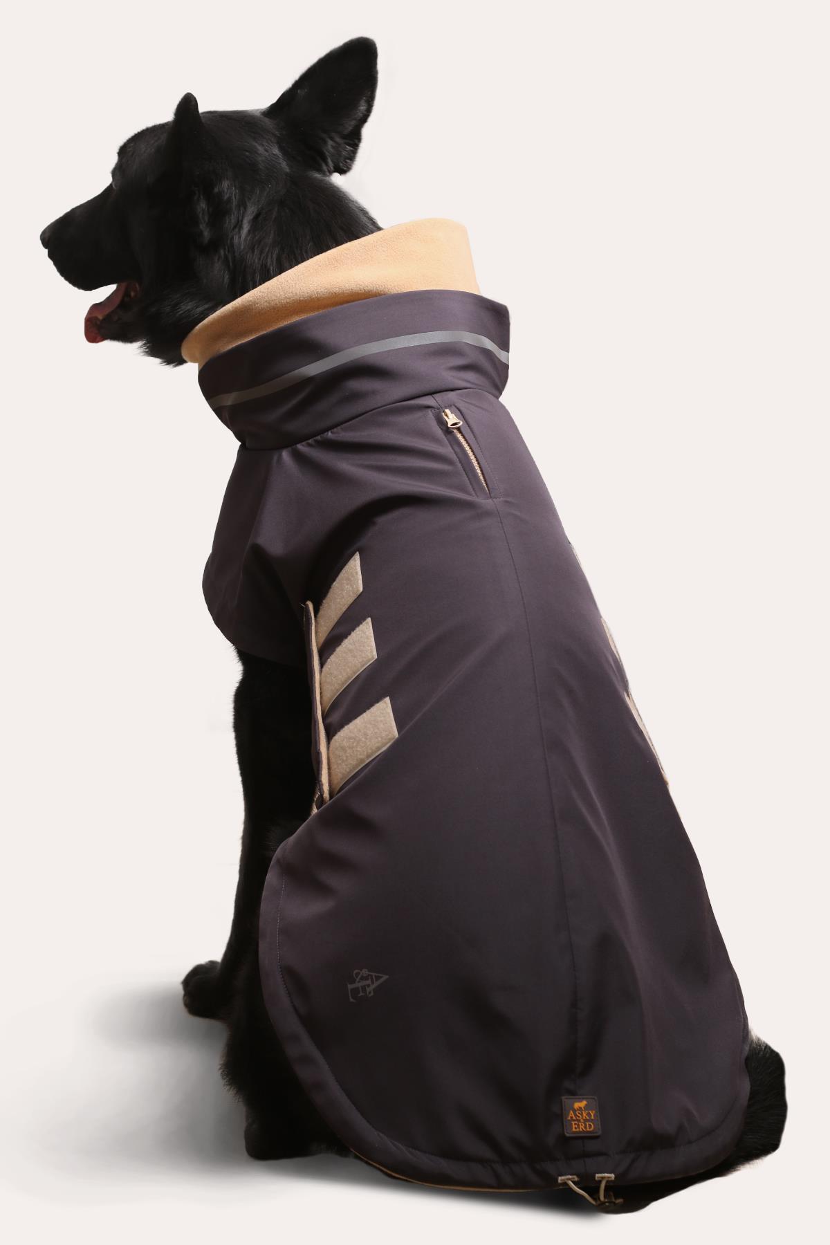 کاپشن سگ اسکی‌اندارد Asky&Erd Extreme Wheater Coat I