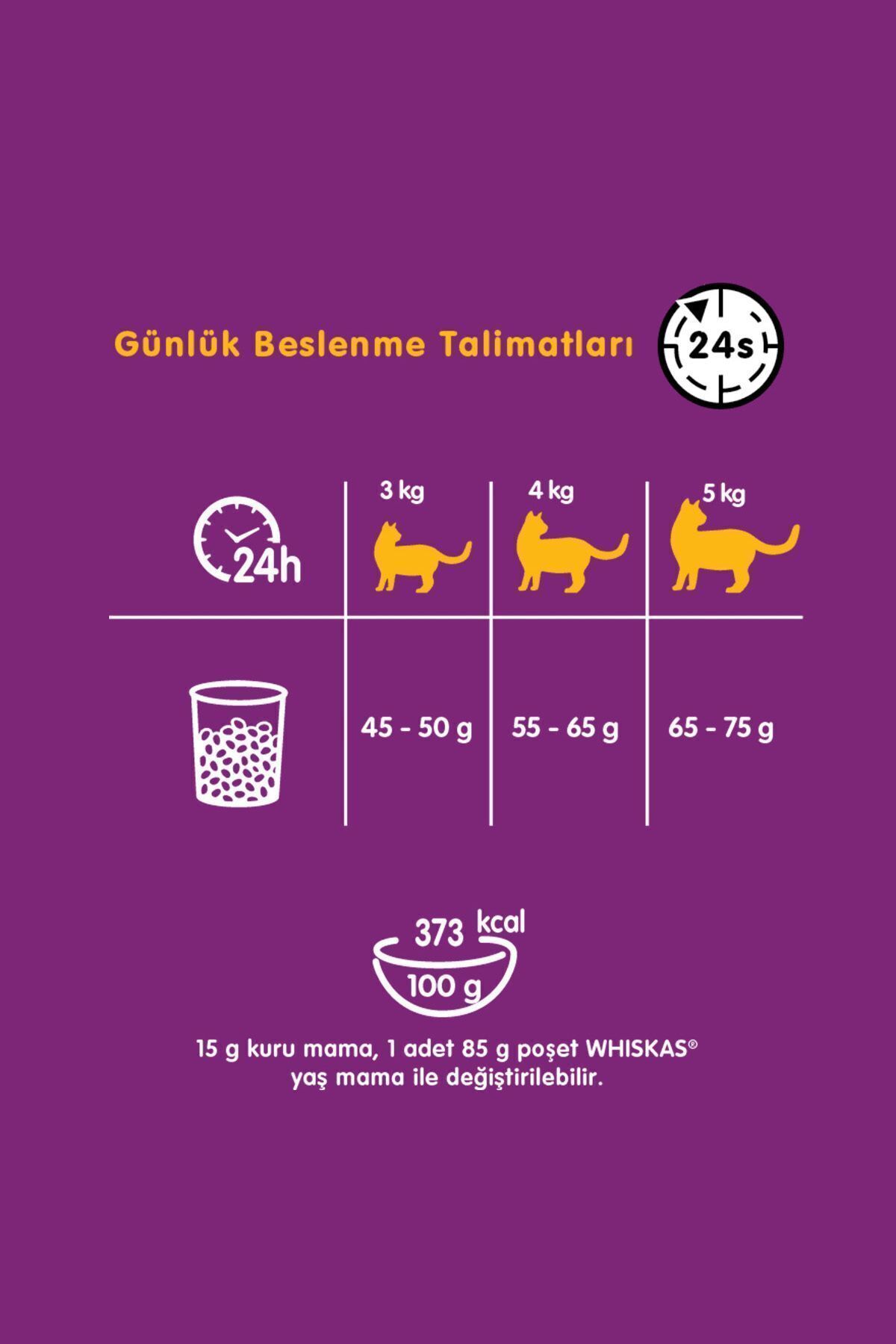 غذای خشک گربه بالغ ویسکاس Whiskas با طعم مرغ و سبزیجات، ۳٫۸ کیلوگرم 3.8 Kg