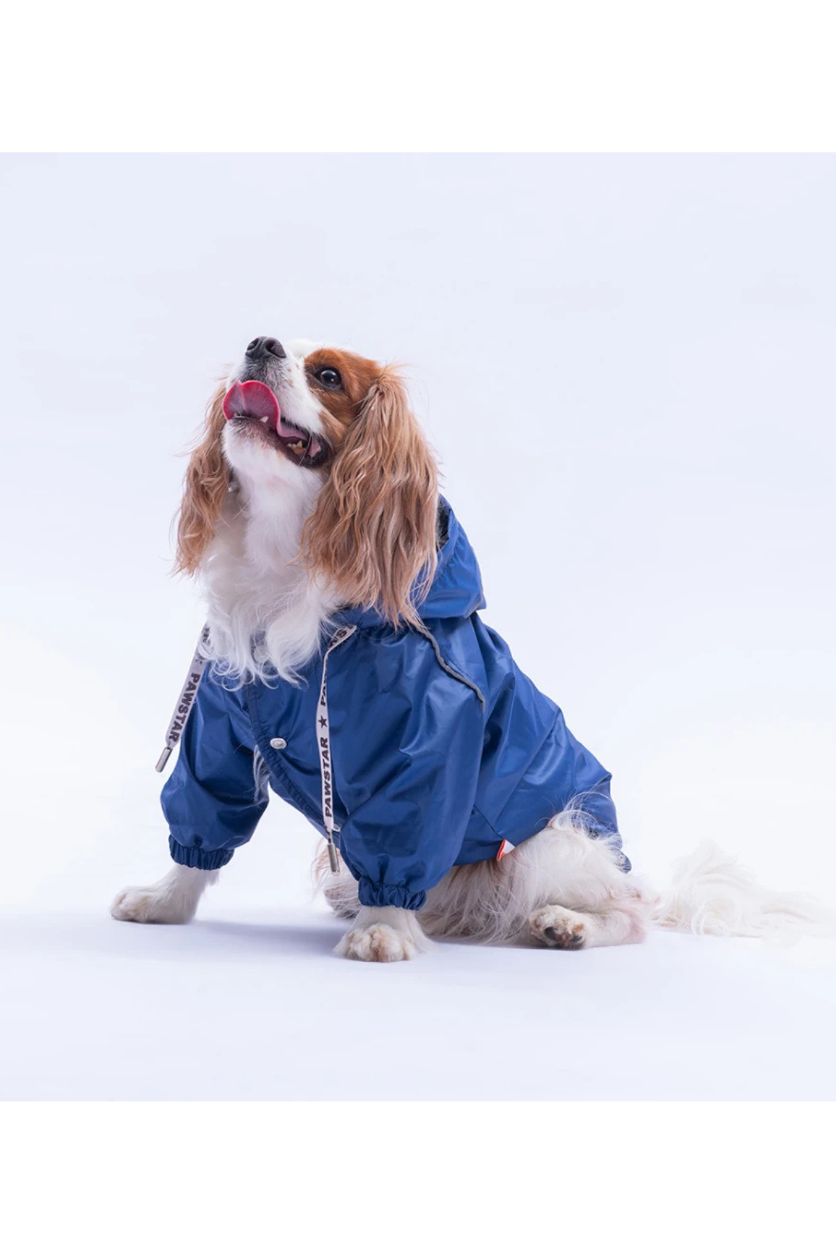 بارانی ضدآب سگ لاکی‌پا LUCKYPAW سری Pawstar، سرمه‌ای و آستر پلار