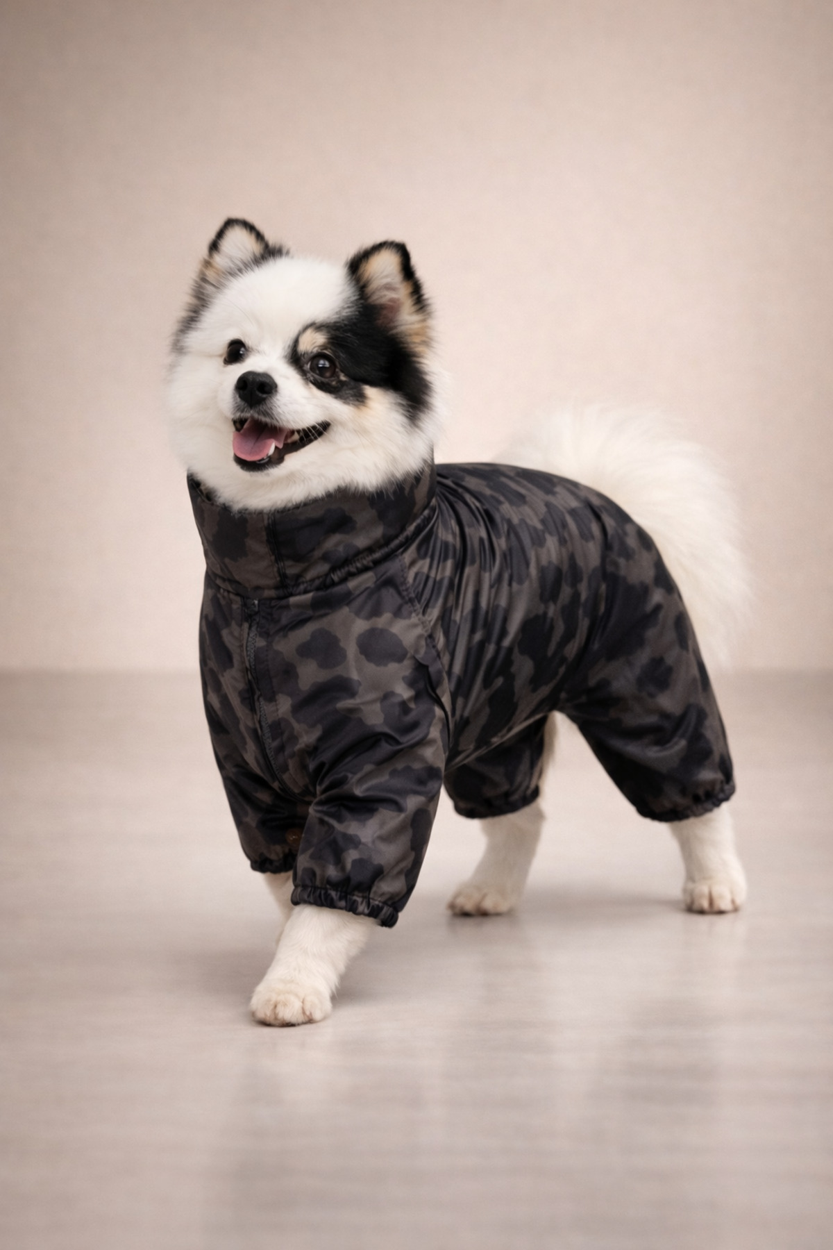 بارانی سگ با پوشش چهار پا آلفاداگ دیزاین Alphadog Design مدل Coverall Icon، خاکستری